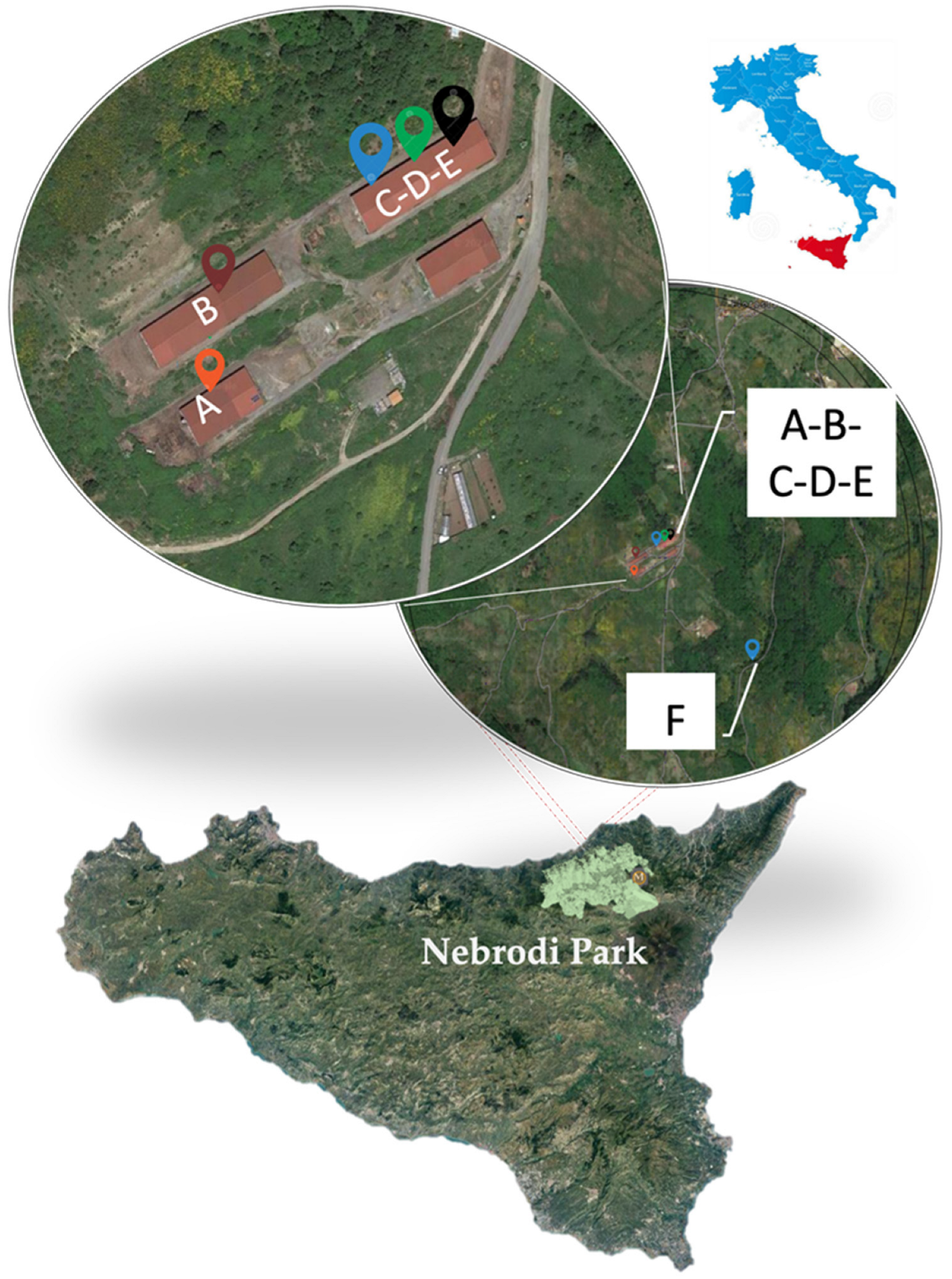 Vetsci 09 00083 g001 550