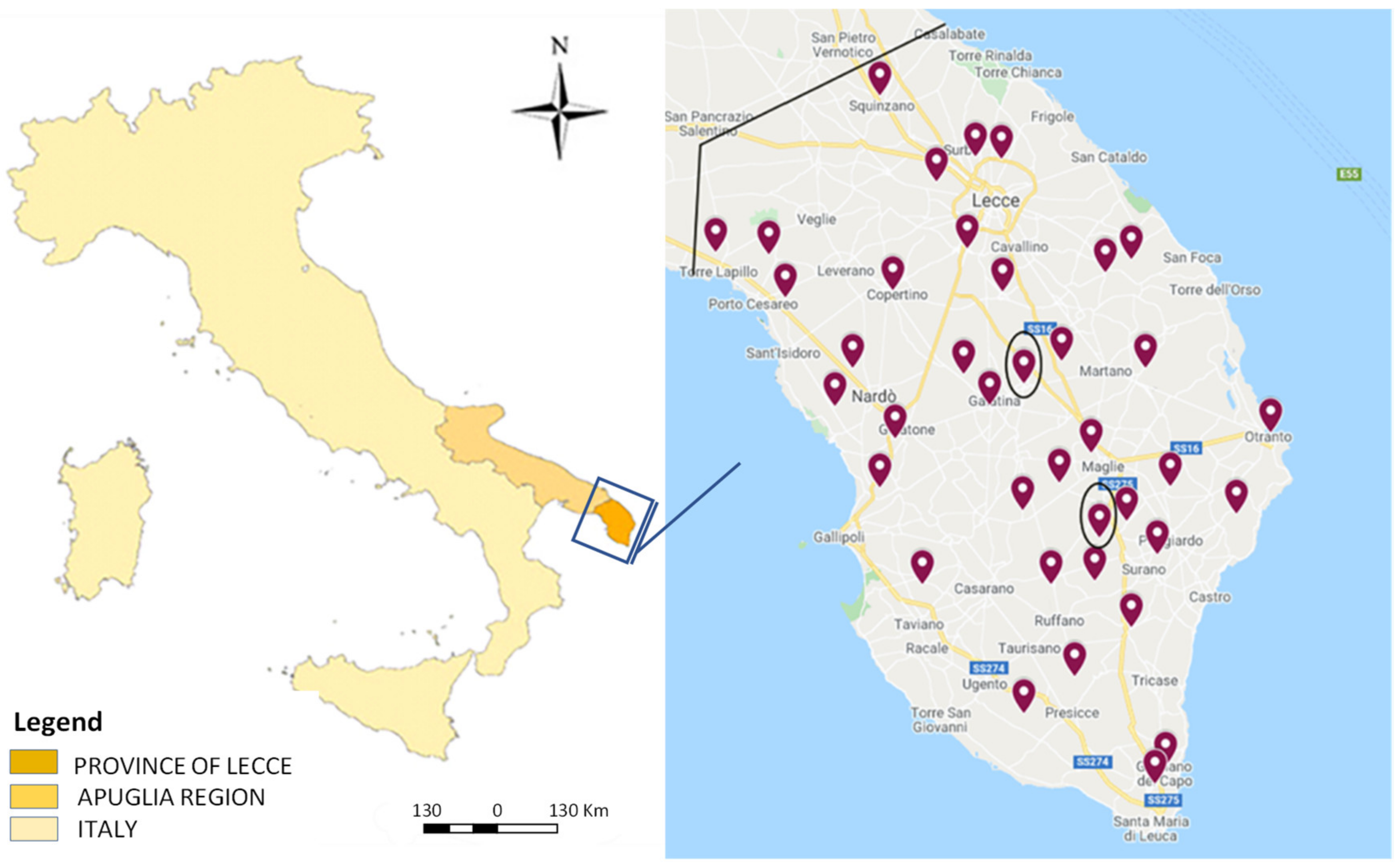 Vetsci 09 00087 g002 550