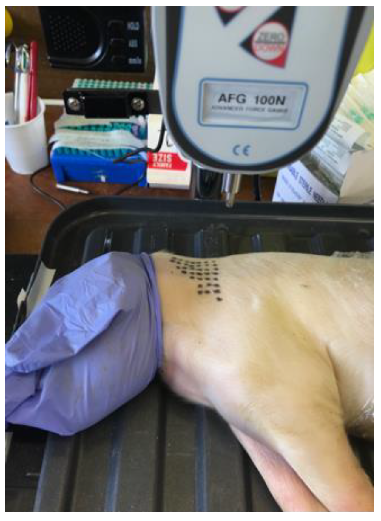 Vetsci 09 00090 g002