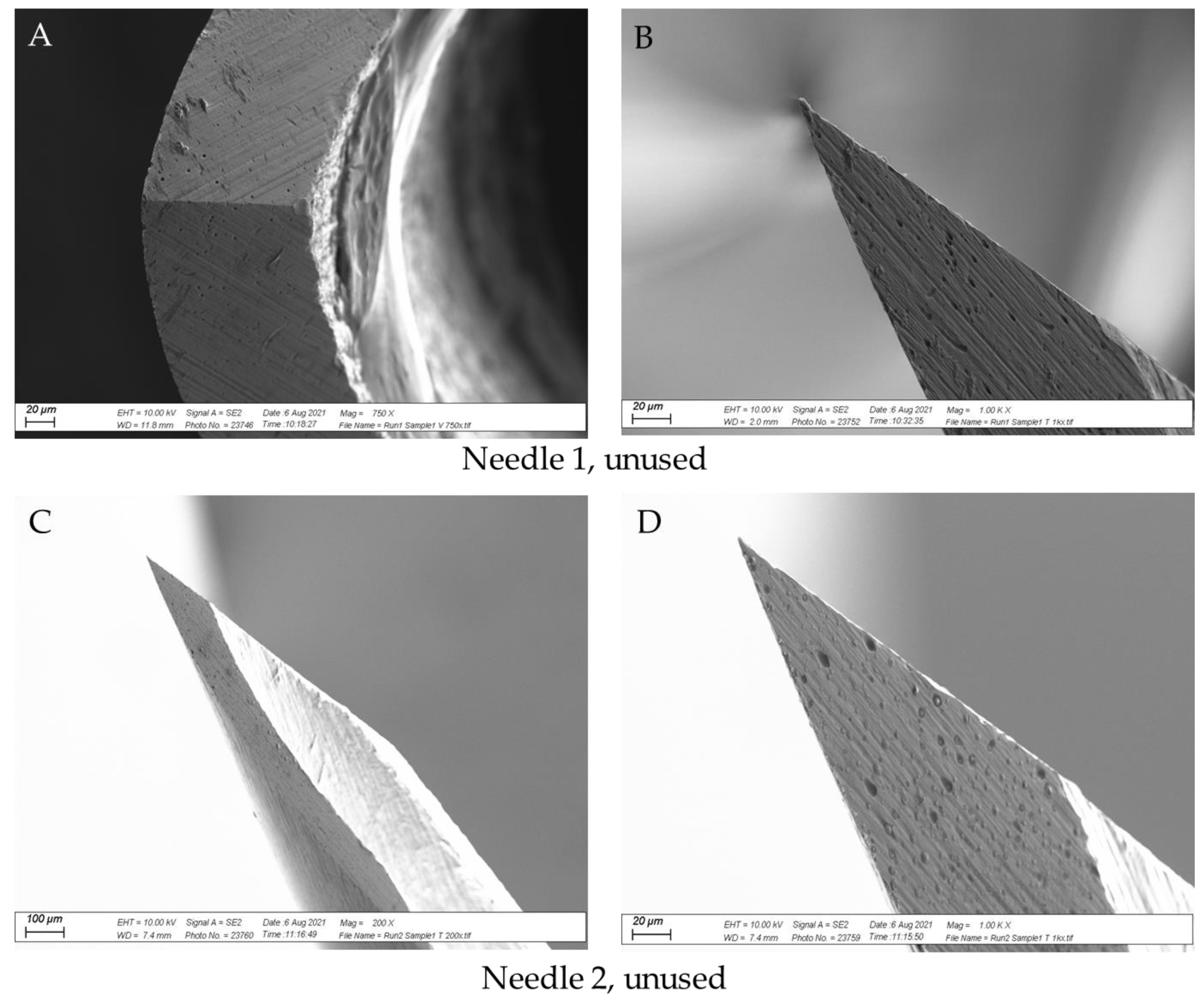 Vetsci 09 00090 g008