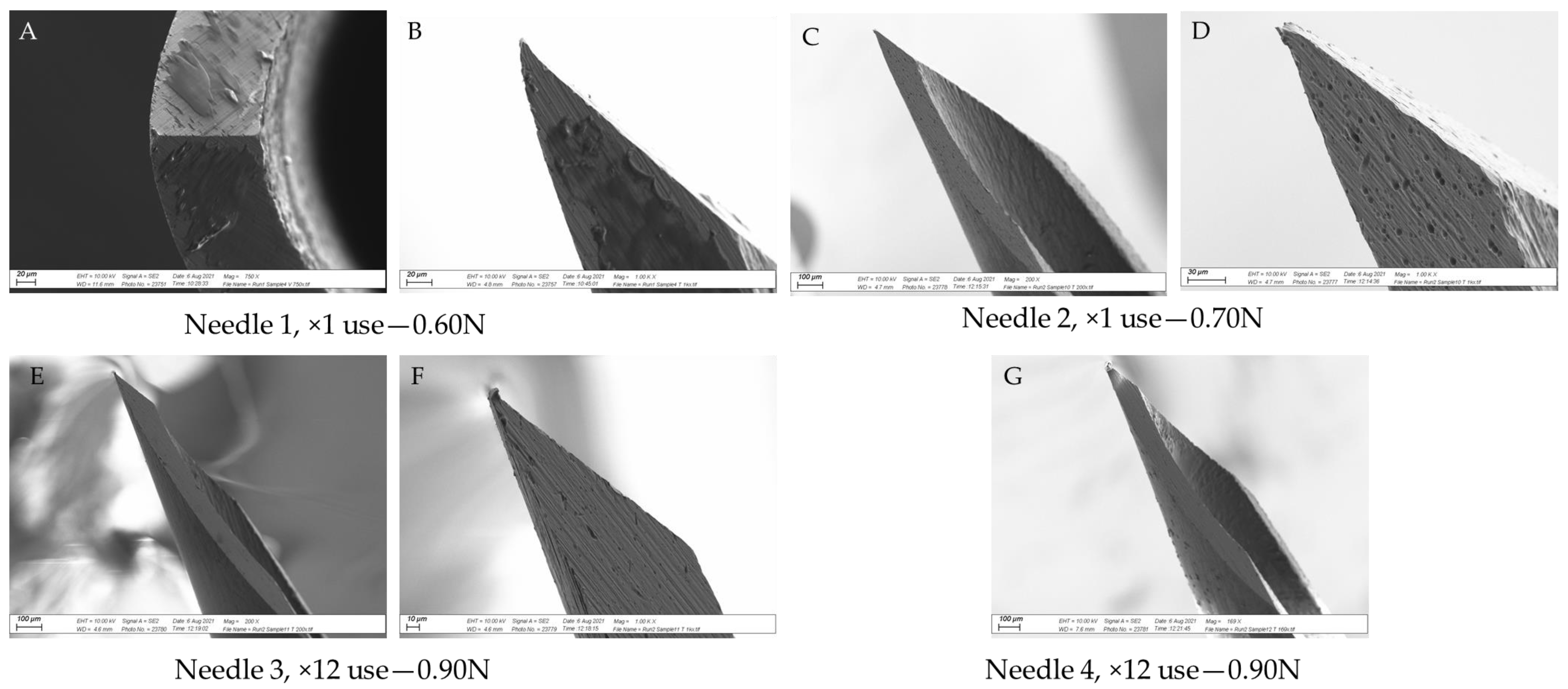 Vetsci 09 00090 g010a