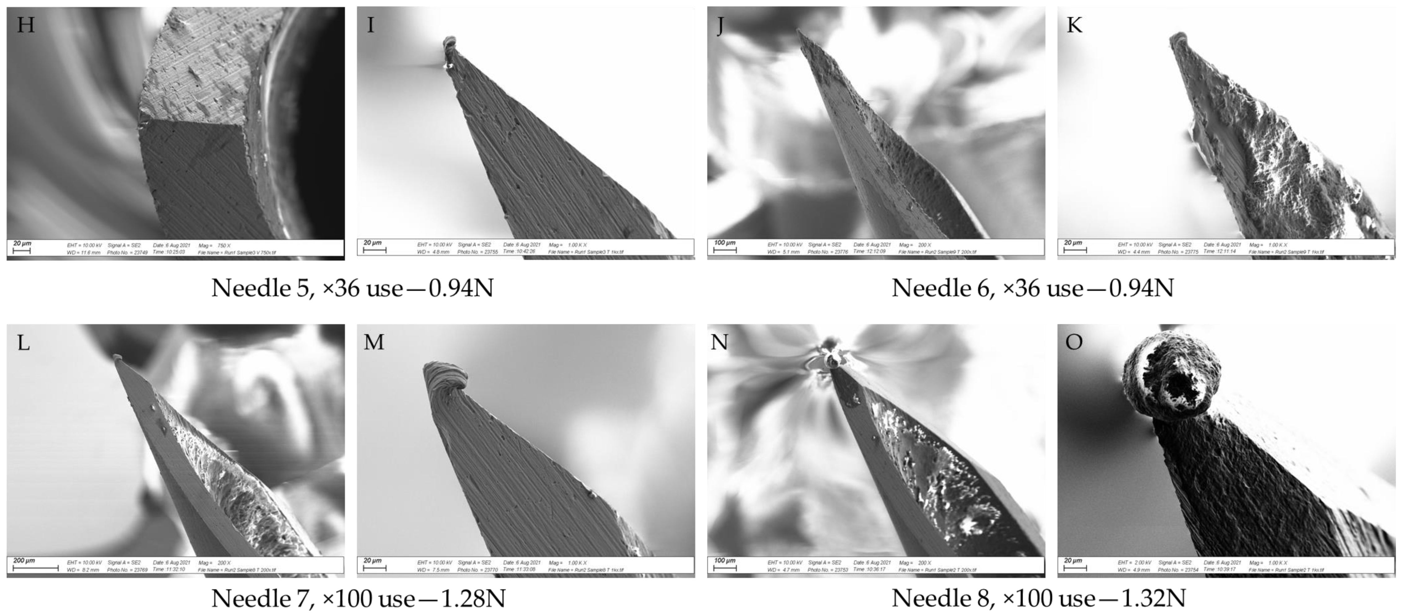 Vetsci 09 00090 g010b