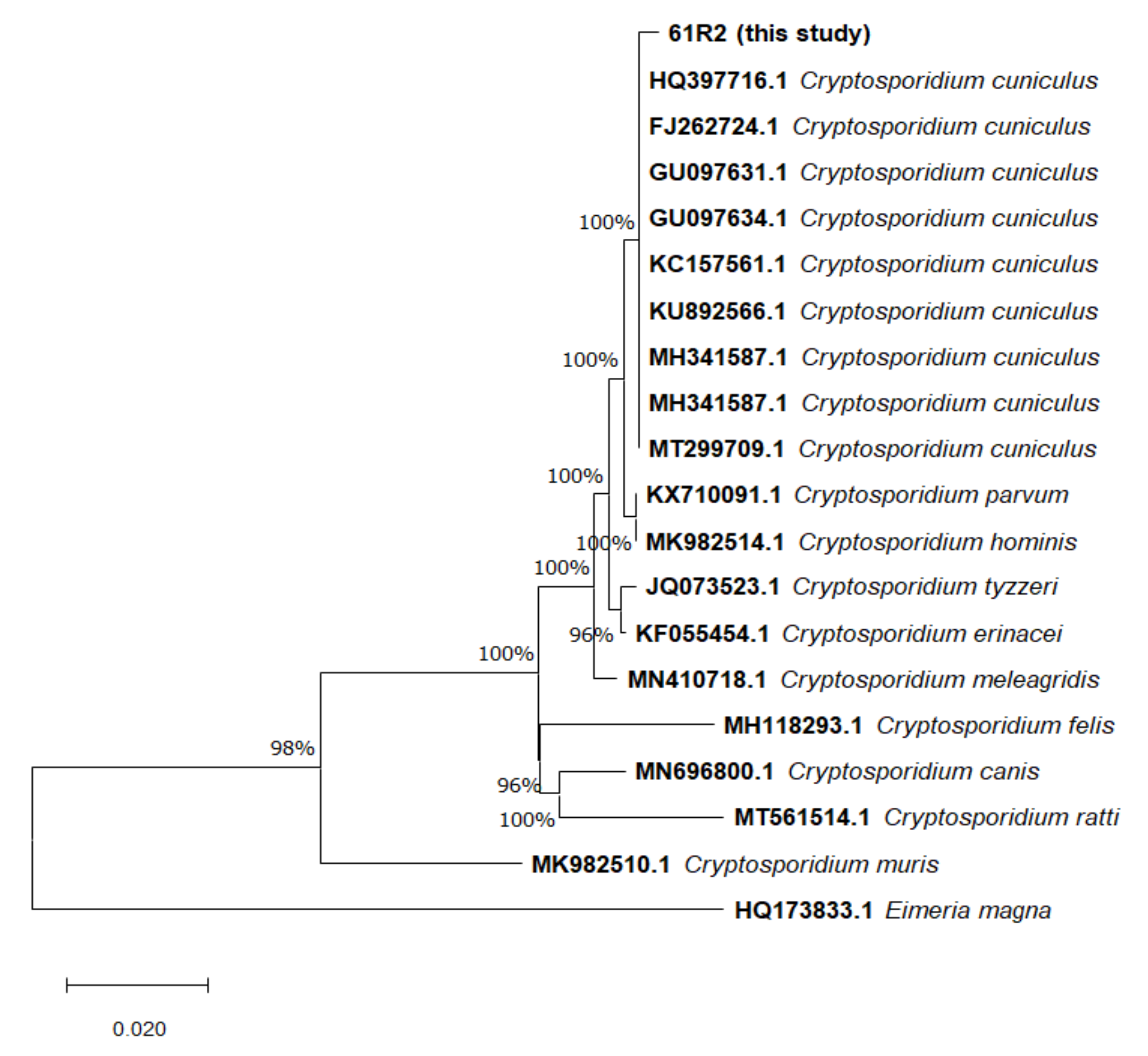 Vetsci 09 00091 g002 Vetsci 09 00091 g002