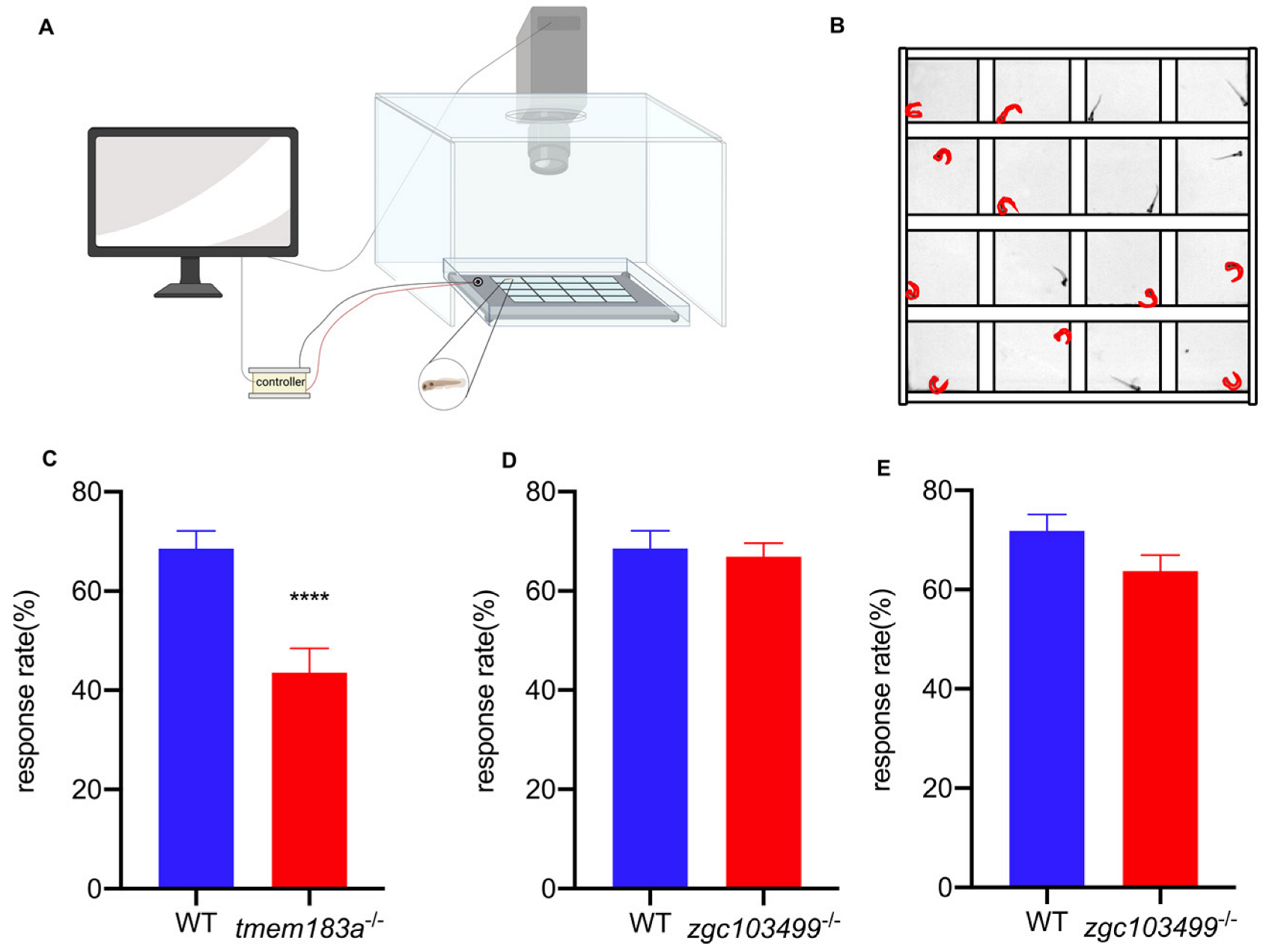 Vetsci 09 00092 g004 550