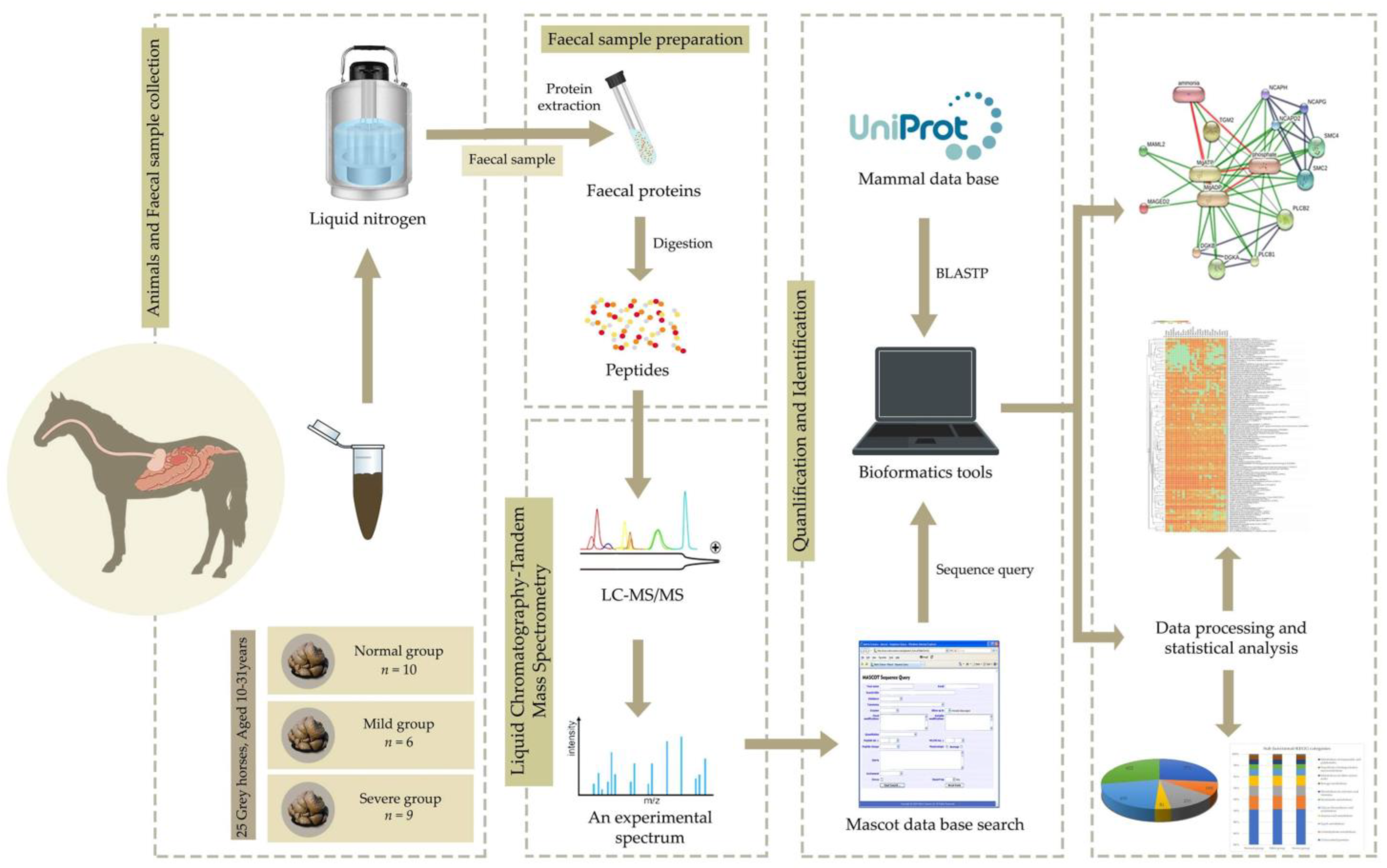 Vetsci 09 00094 g001