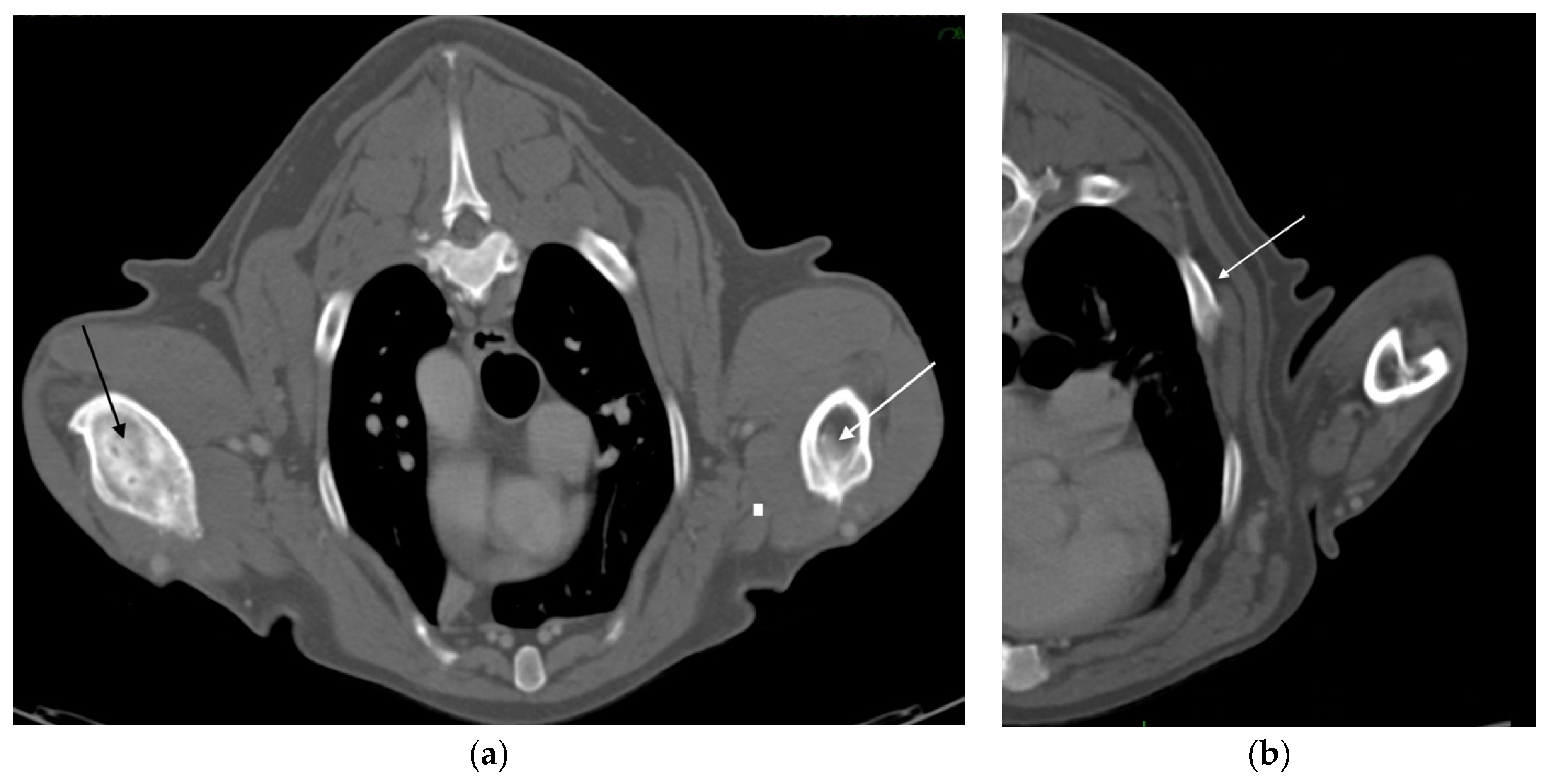 Vetsci 09 00096 g004 550