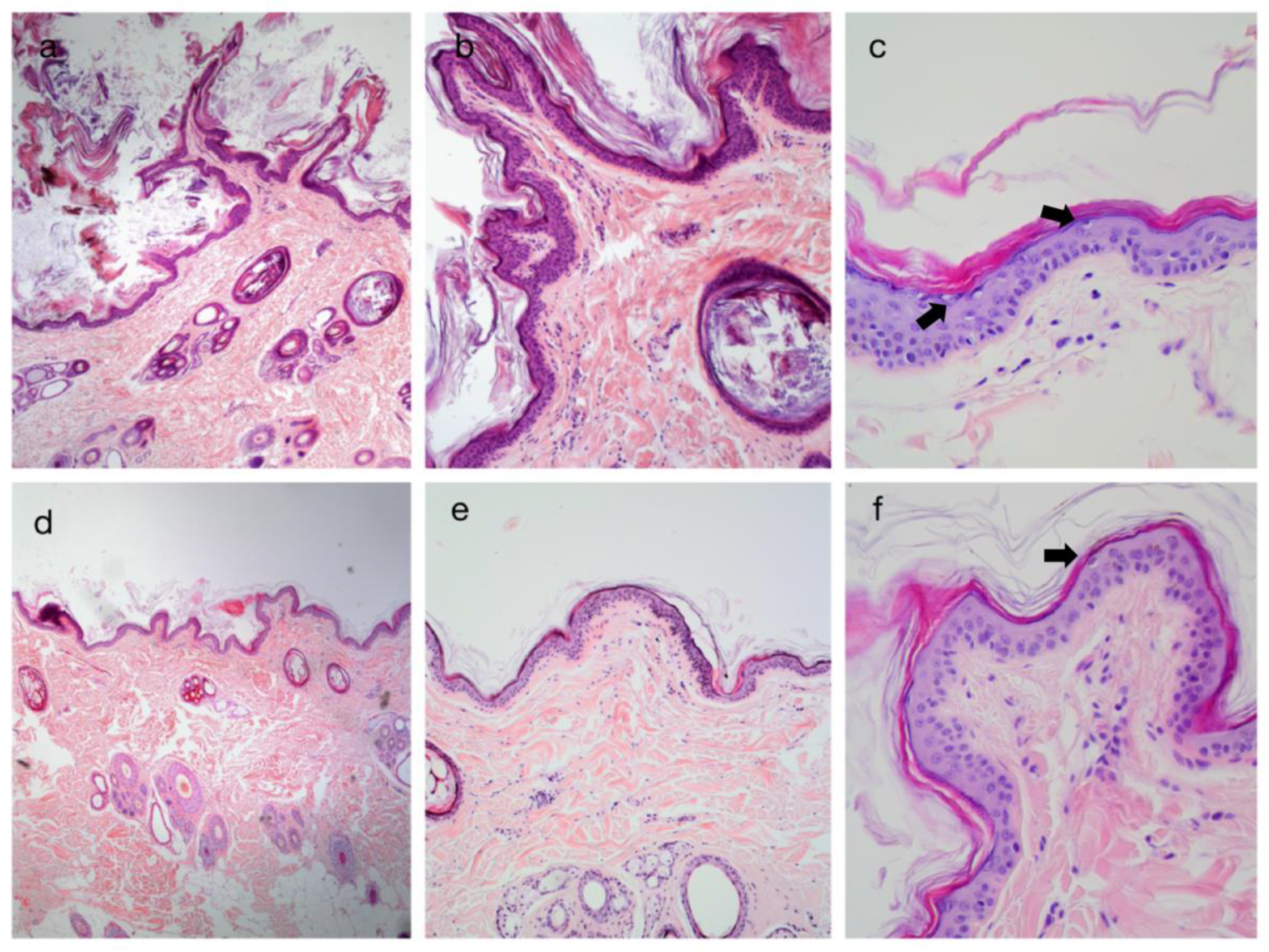Vetsci 09 00097 g002 550