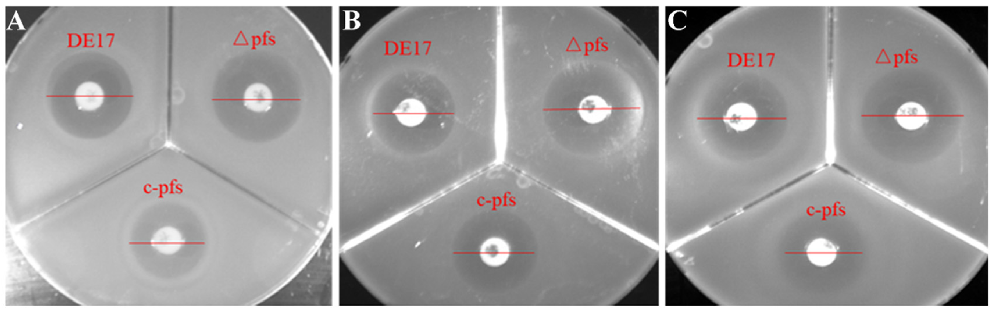 Vetsci 09 00098 g001
