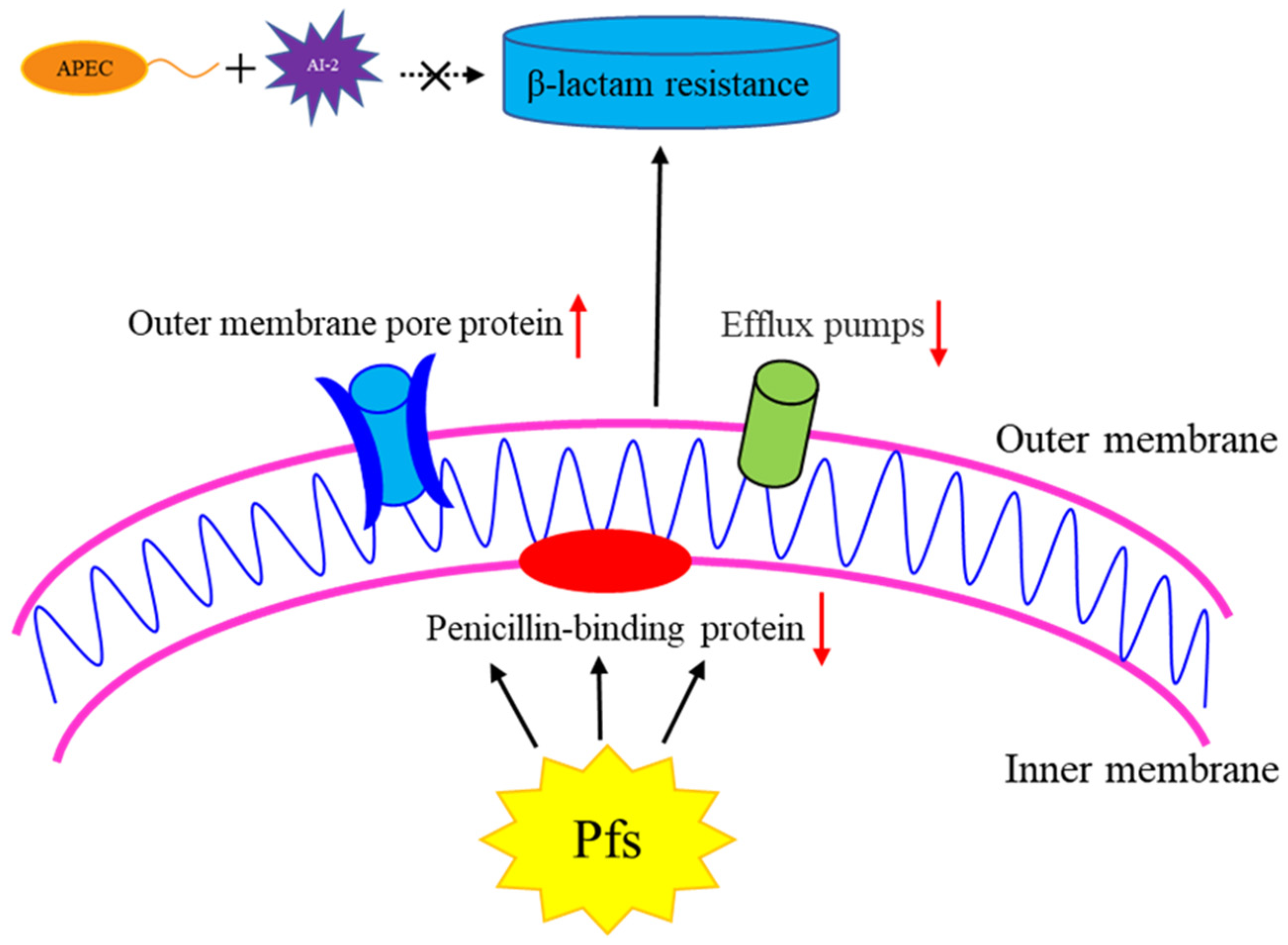 Vetsci 09 00098 g006