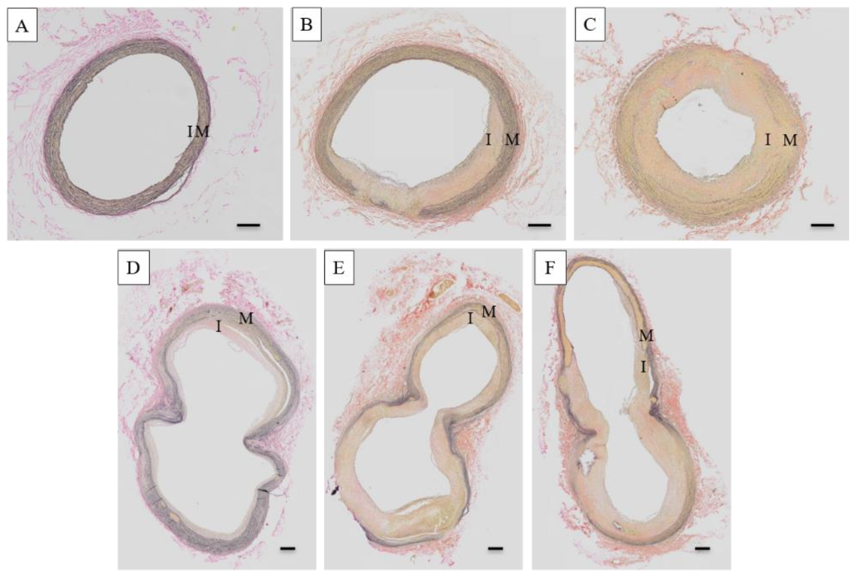 Vetsci 09 00105 g003