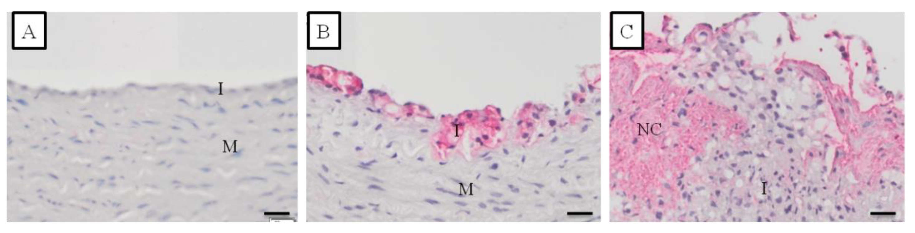 Vetsci 09 00105 g005