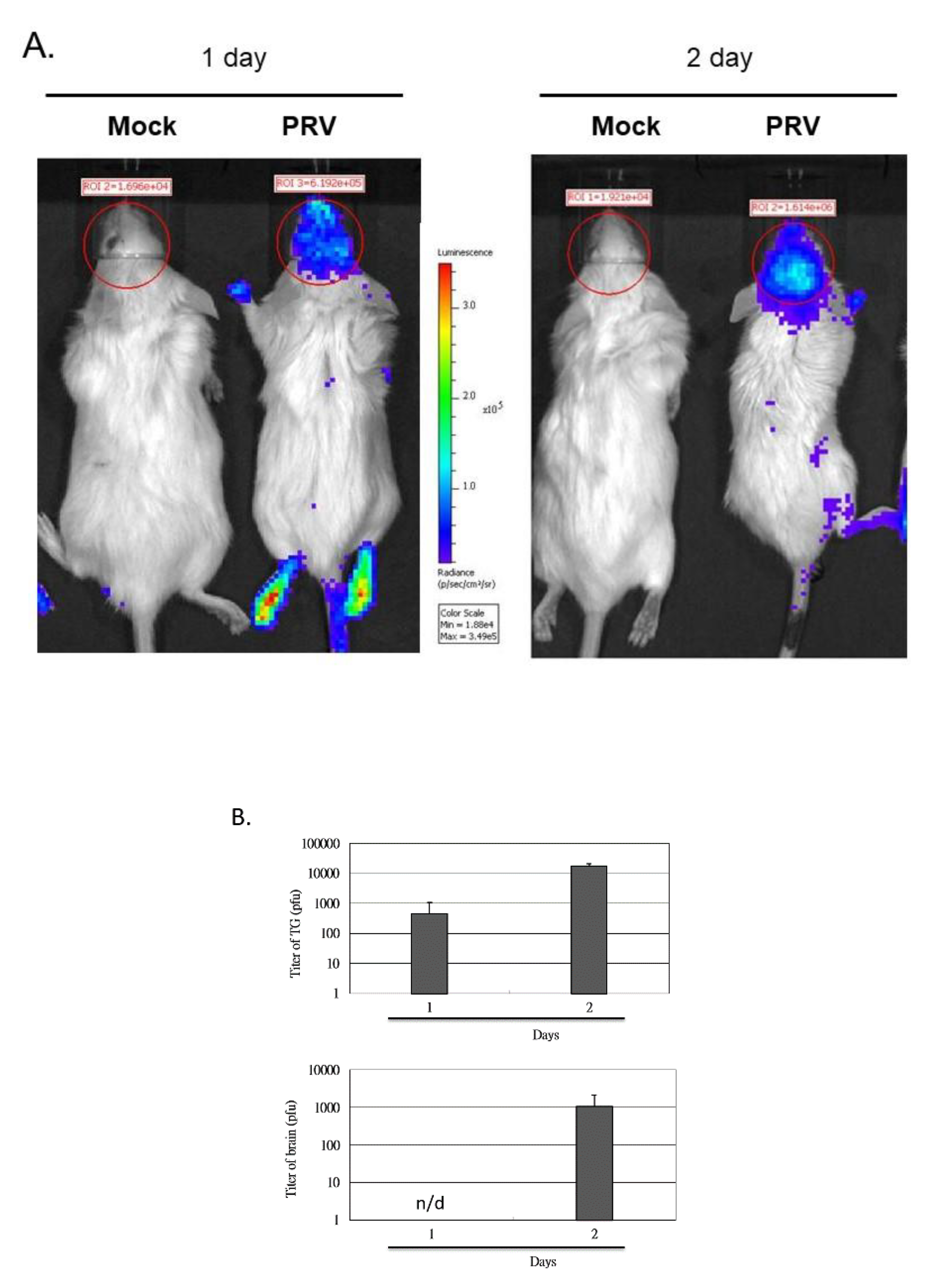 Vetsci 09 00113 g003 Vetsci 09 00113 g003