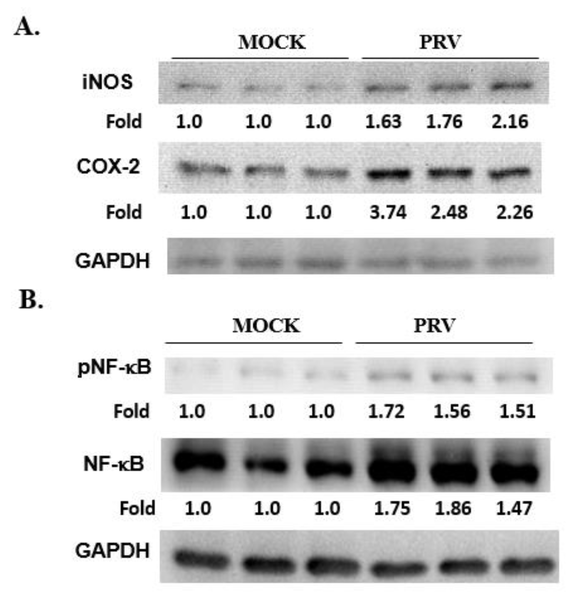 Vetsci 09 00113 g006 Vetsci 09 00113 g006