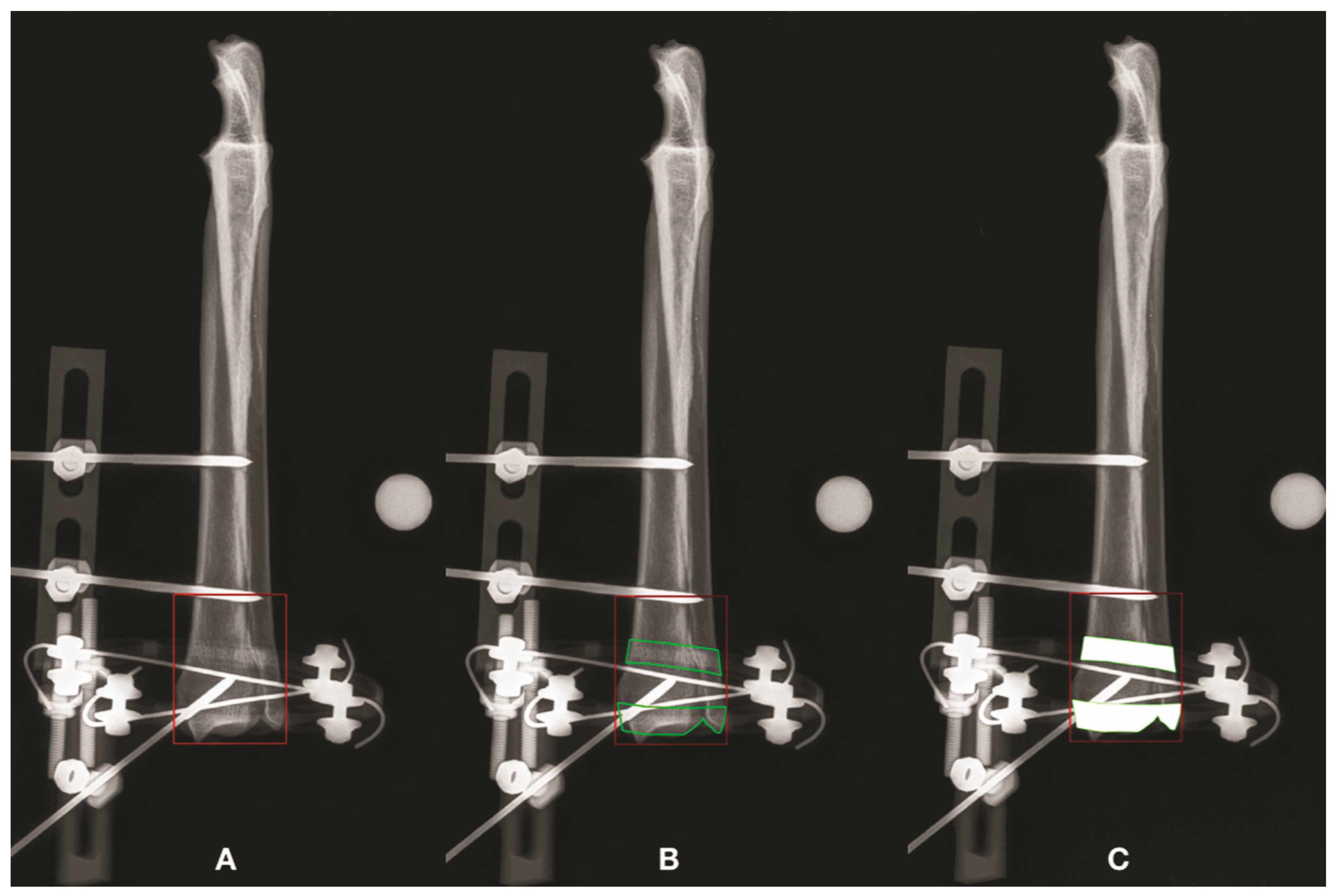 Vetsci 09 00120 g003