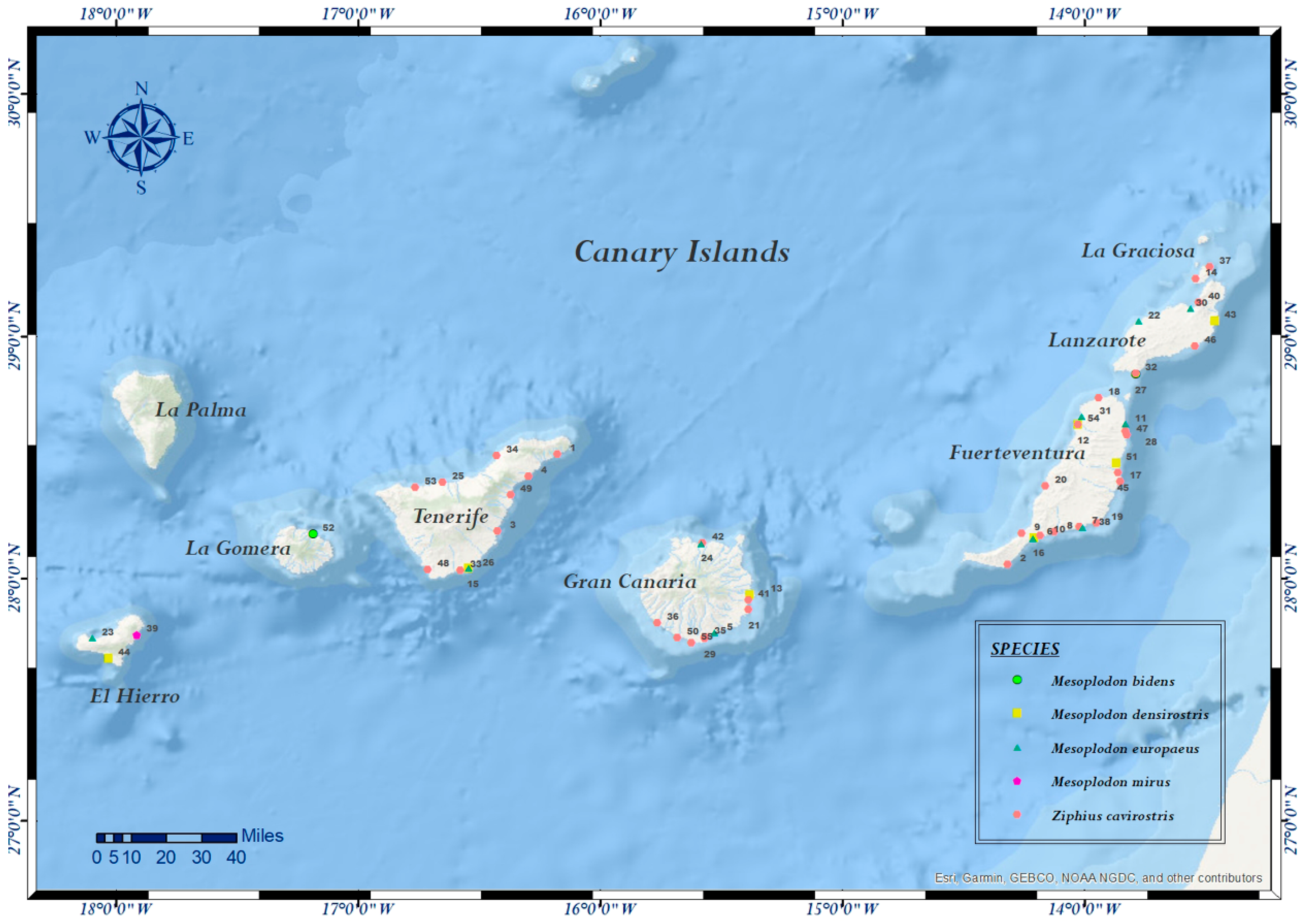 Vetsci 09 00121 g001