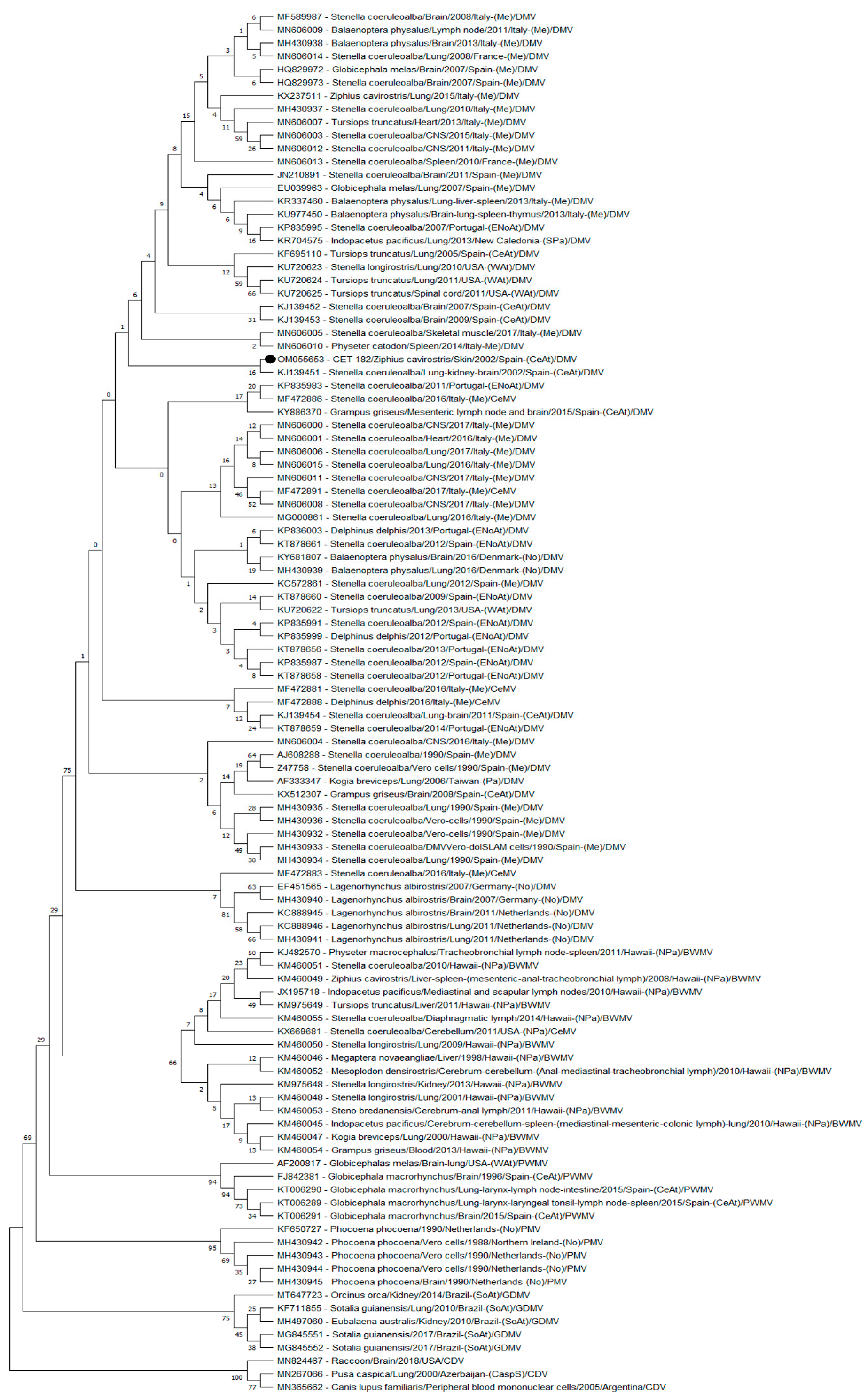 Vetsci 09 00121 g002