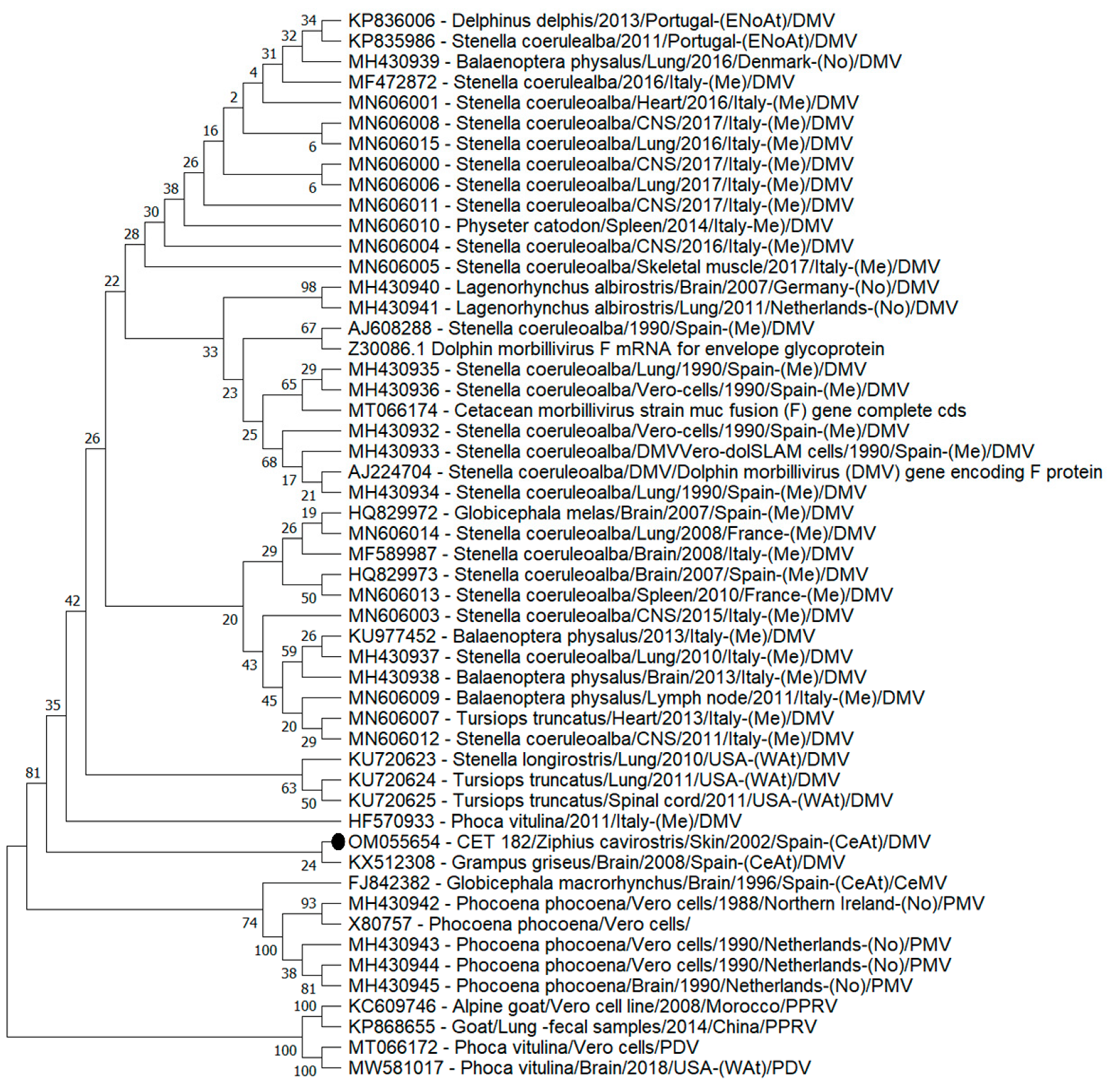 Vetsci 09 00121 g003
