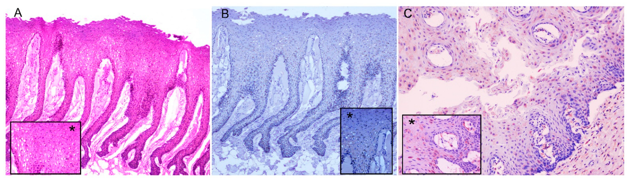 Vetsci 09 00121 g004