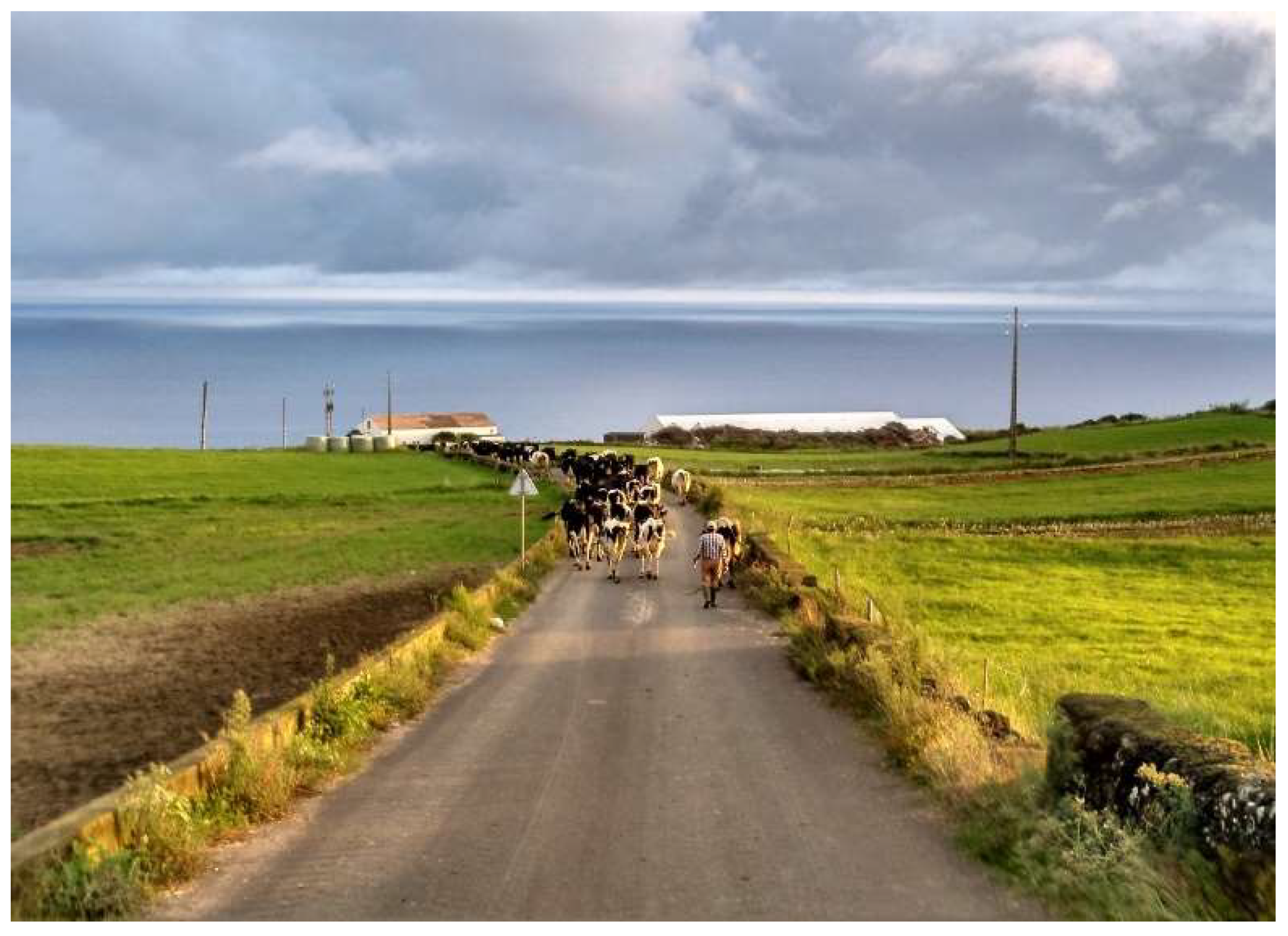 Vetsci 09 00125 g003 550