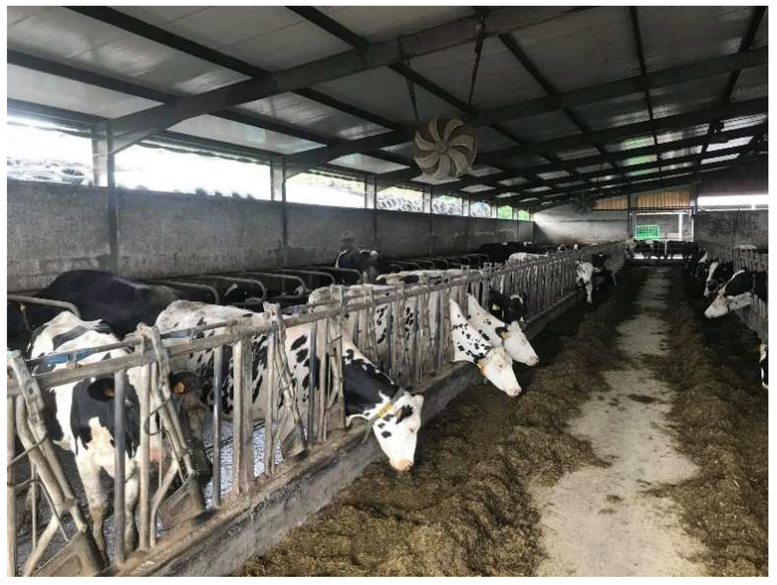 Vetsci 09 00125 g005 550