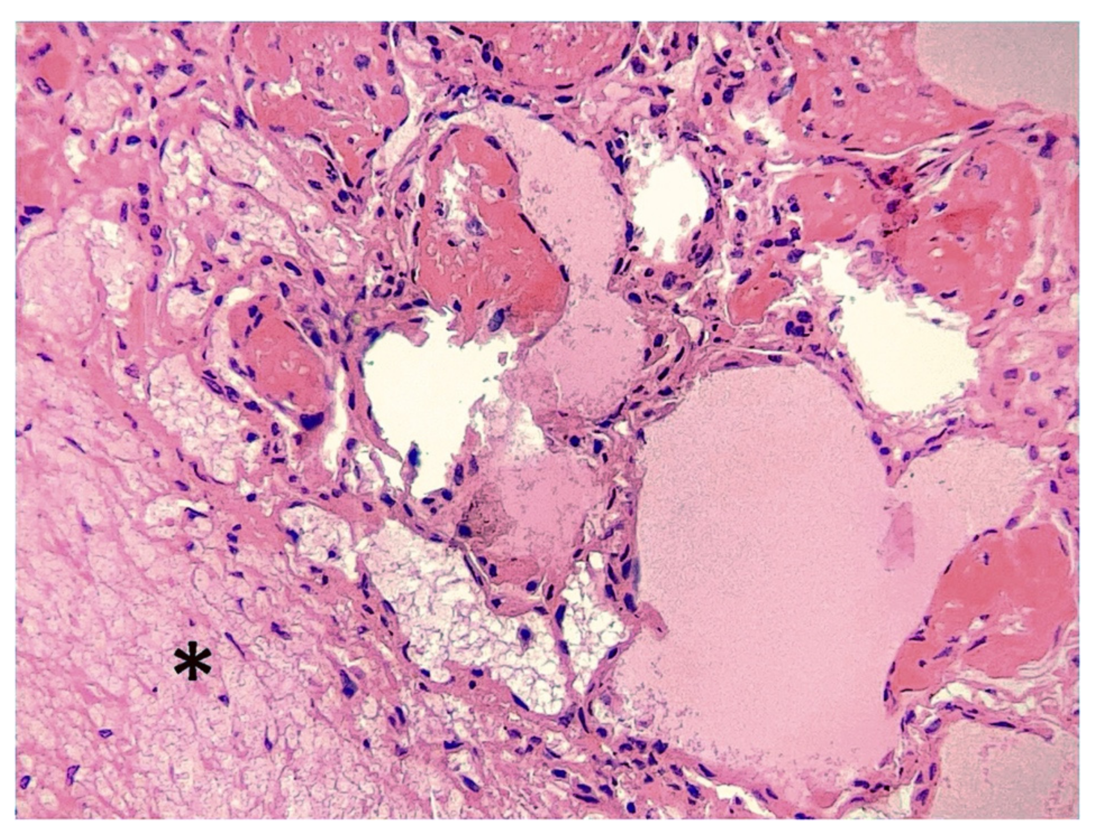 Vetsci 09 00128 g004