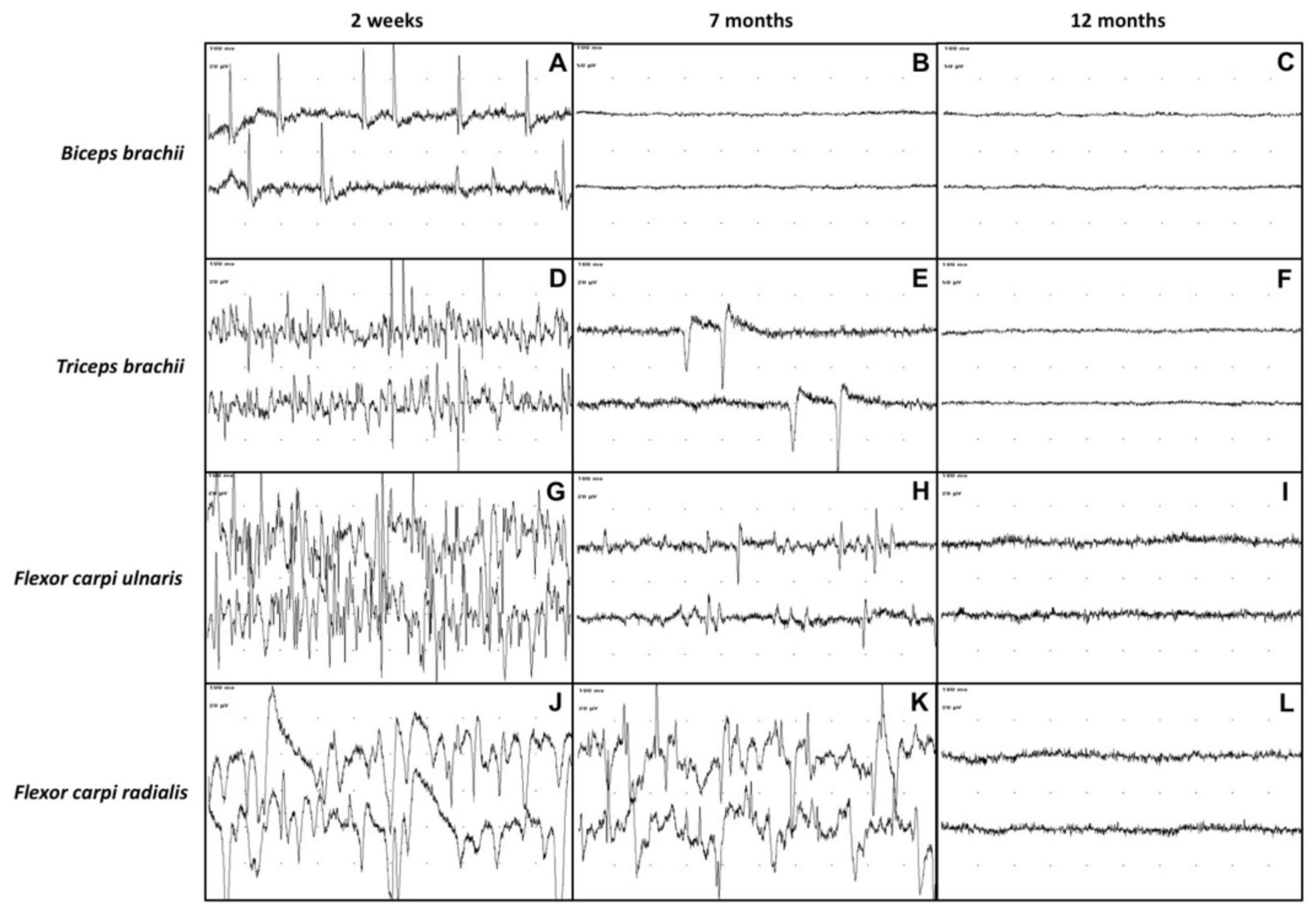Vetsci 09 00136 g003