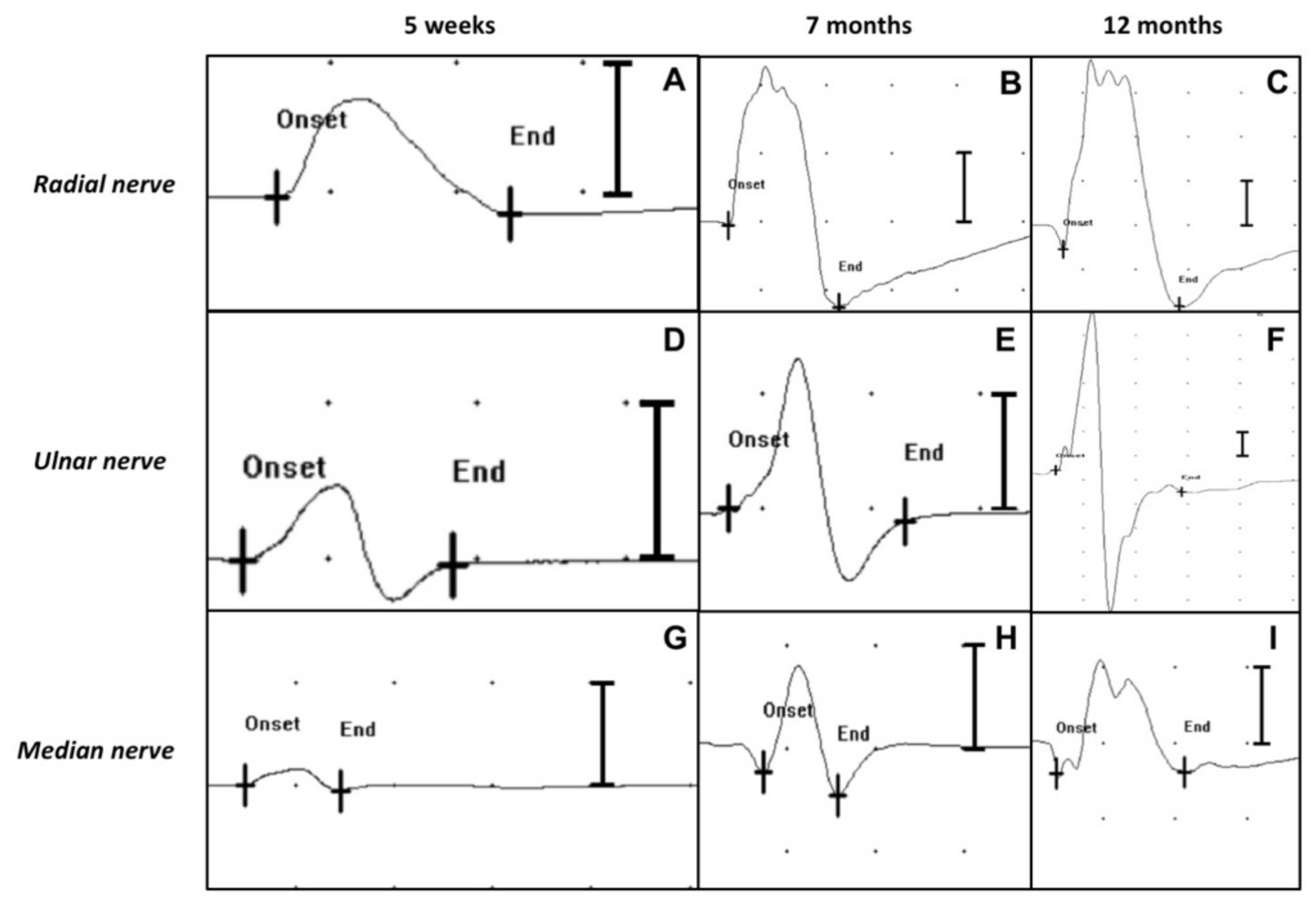 Vetsci 09 00136 g004