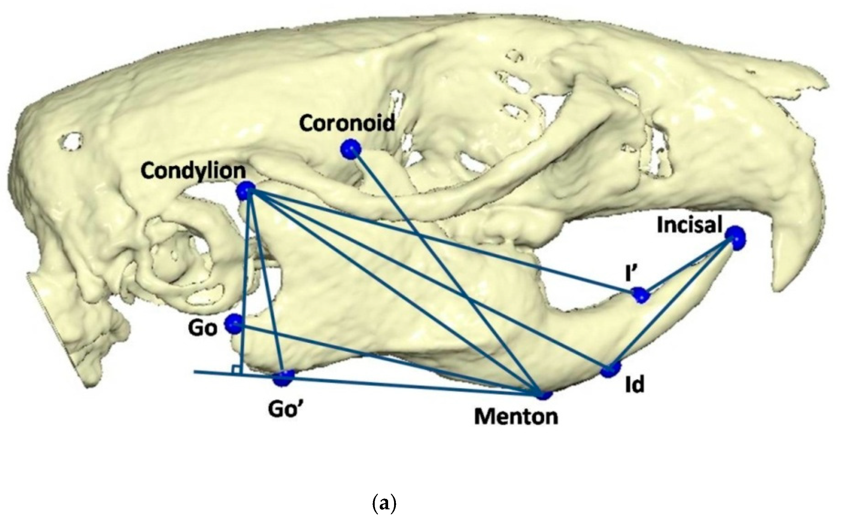 Vetsci 09 00144 g003a Vetsci 09 00144 g003a