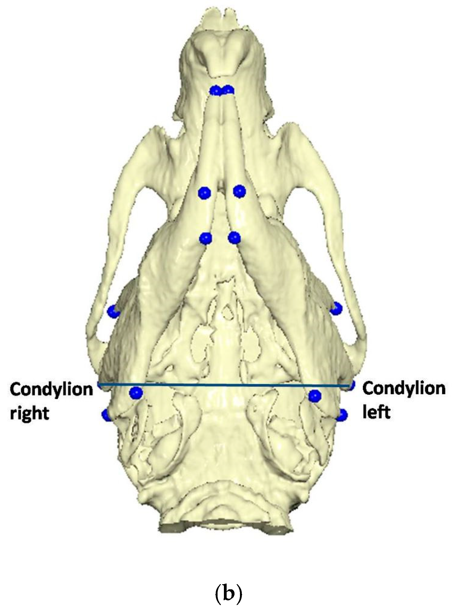 Vetsci 09 00144 g003b Vetsci 09 00144 g003b