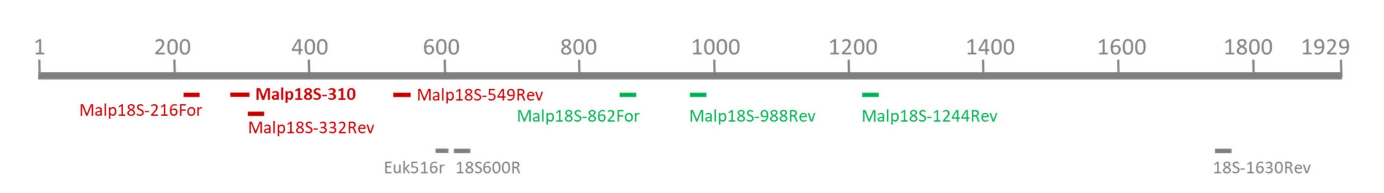 Vetsci 09 00148 g001 550