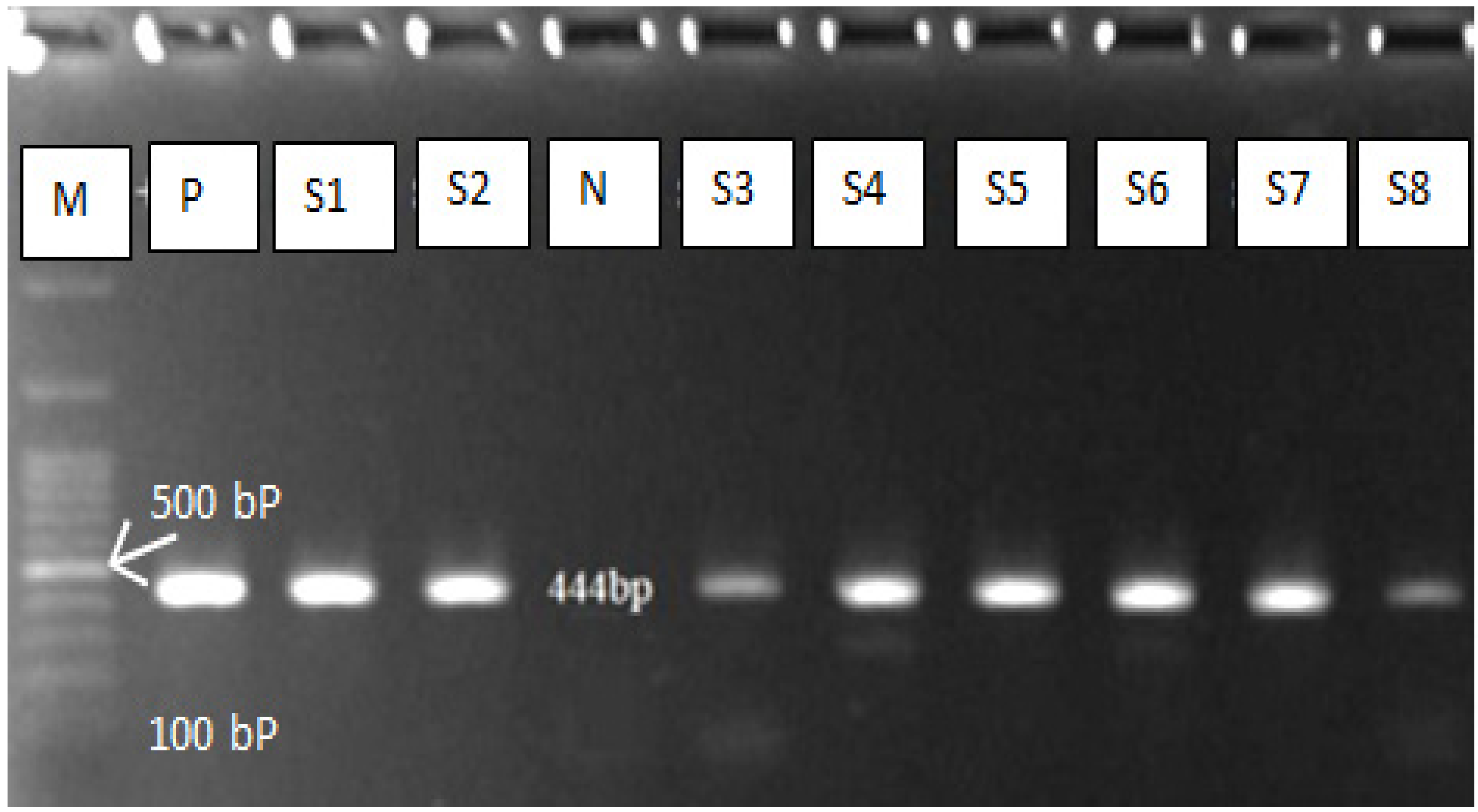 Vetsci 09 00151 g003