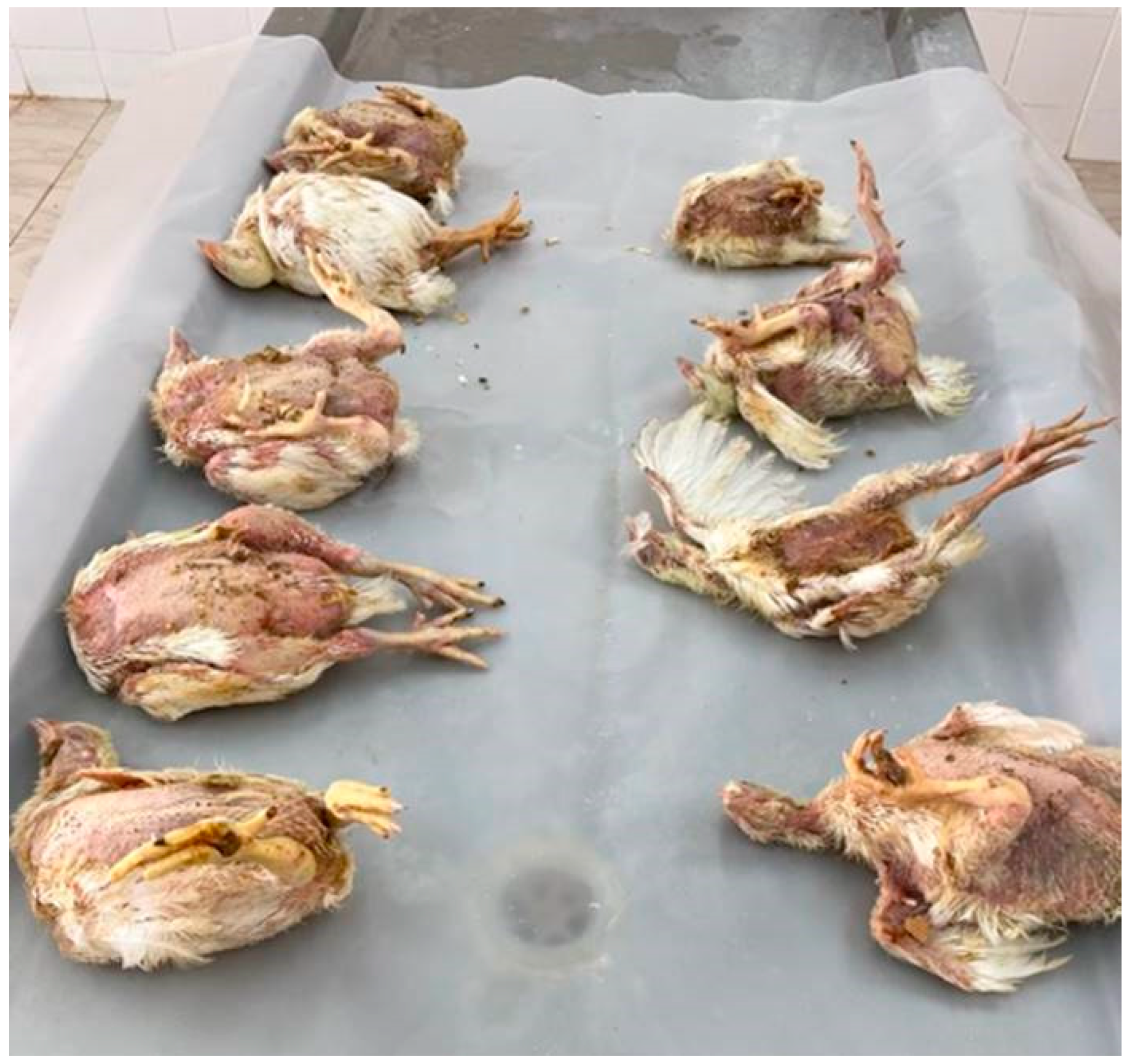 Vetsci 09 00154 g002 550