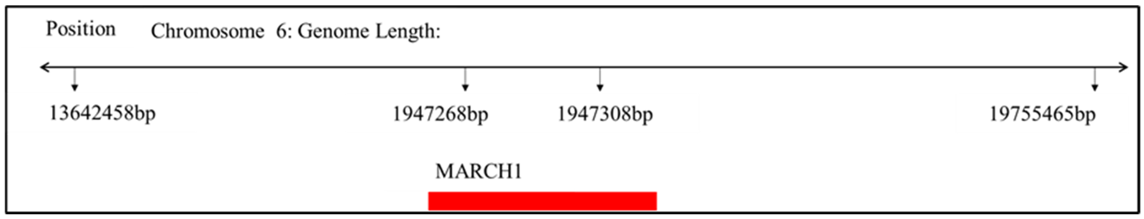 Vetsci 09 00155 g001