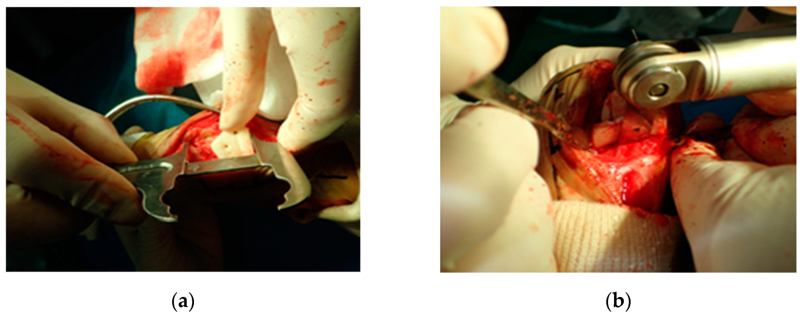 Vetsci 09 00157 g003 550