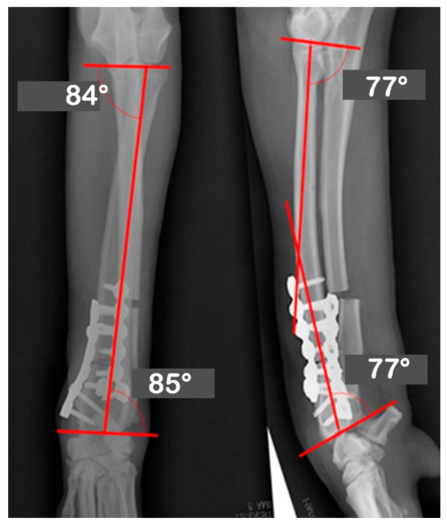 Vetsci 09 00157 g006 550