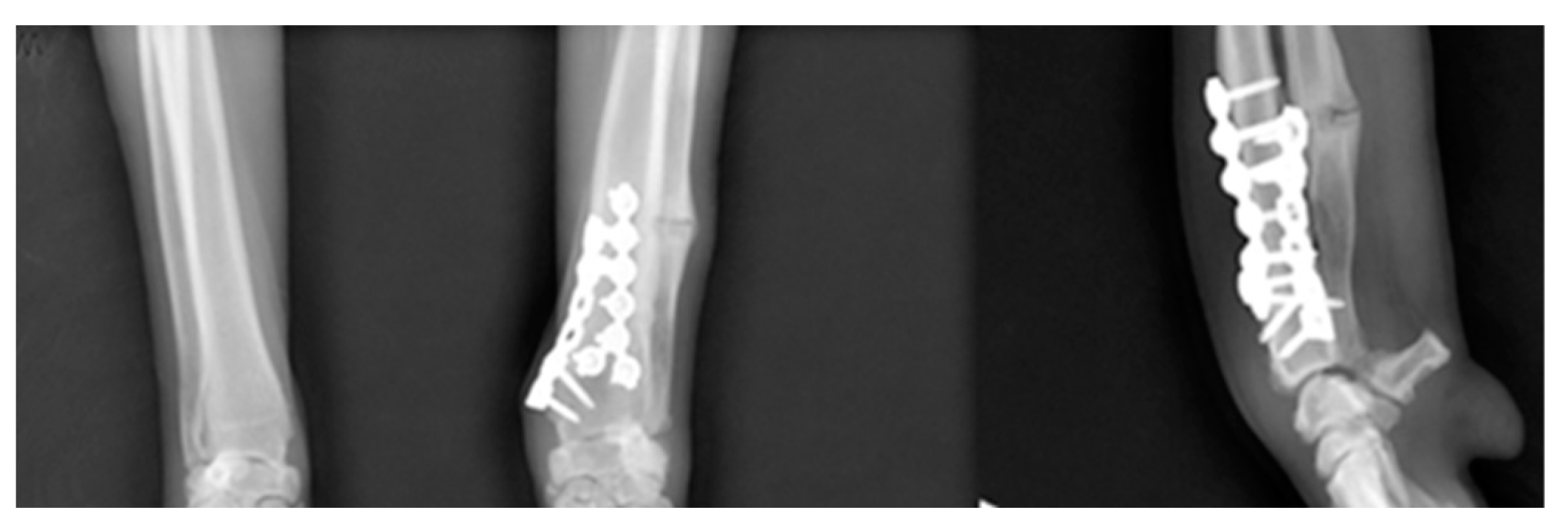 Vetsci 09 00157 g007 550