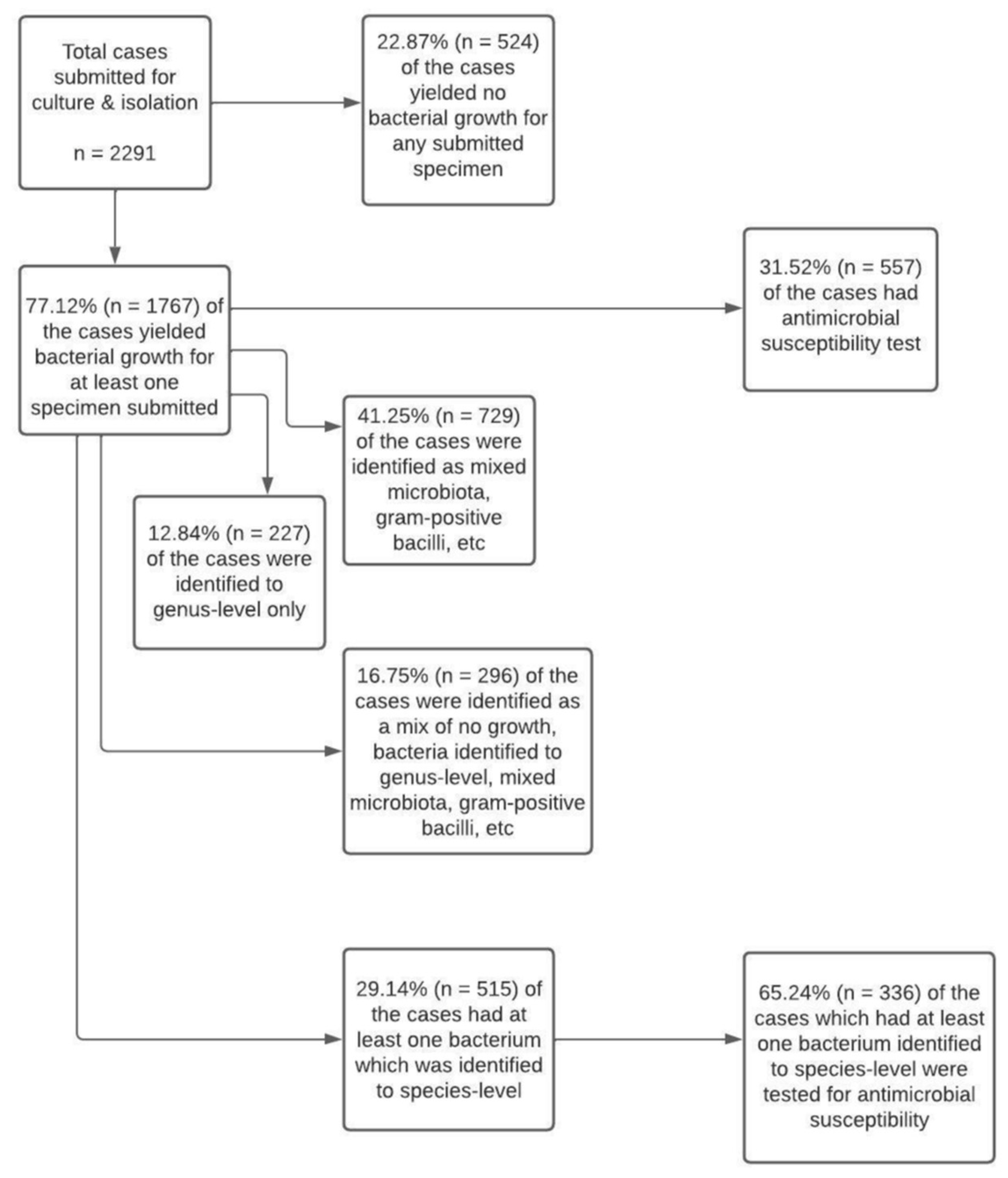 Vetsci 09 00159 g003 550