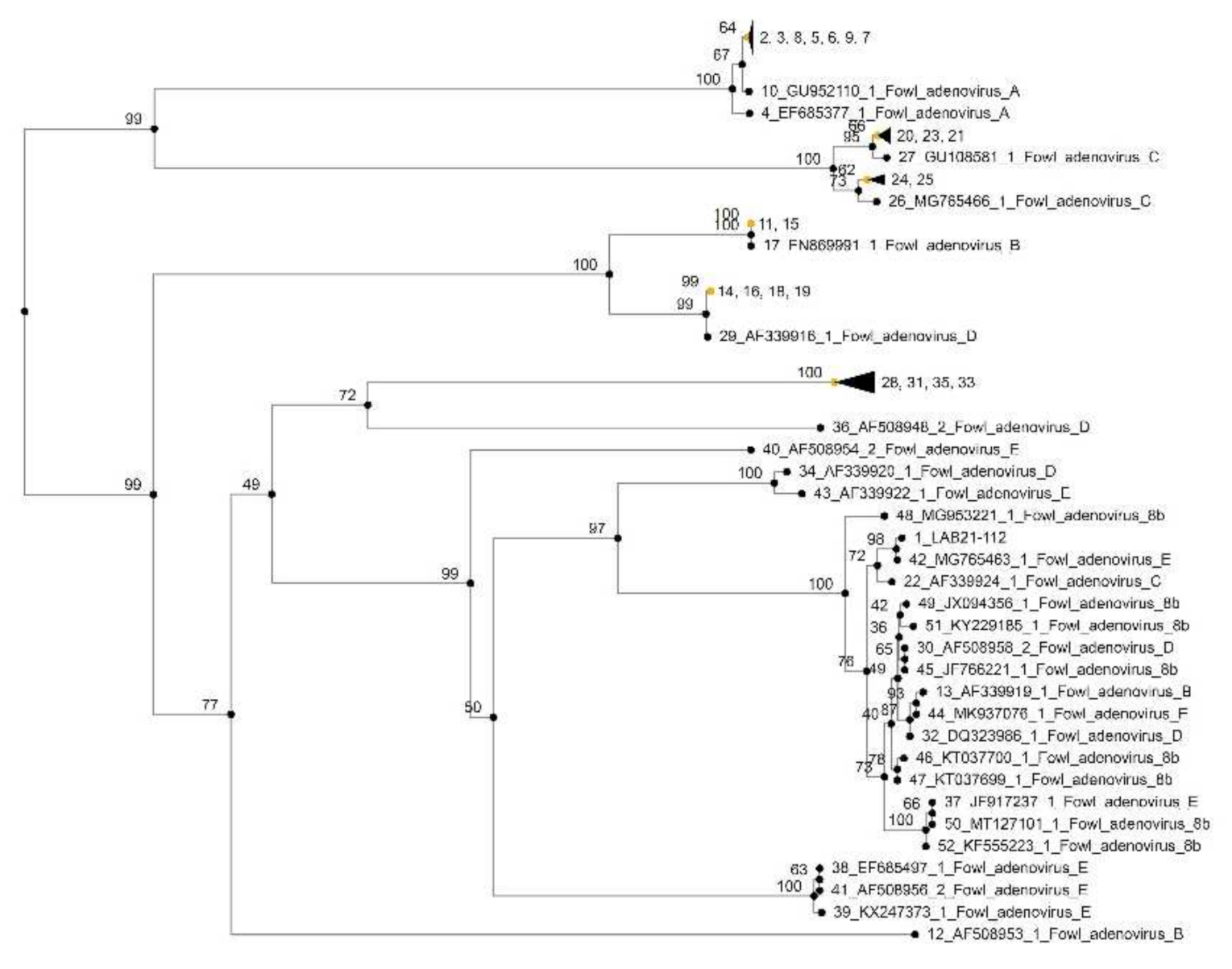 Vetsci 09 00160 g010 Vetsci 09 00160 g010