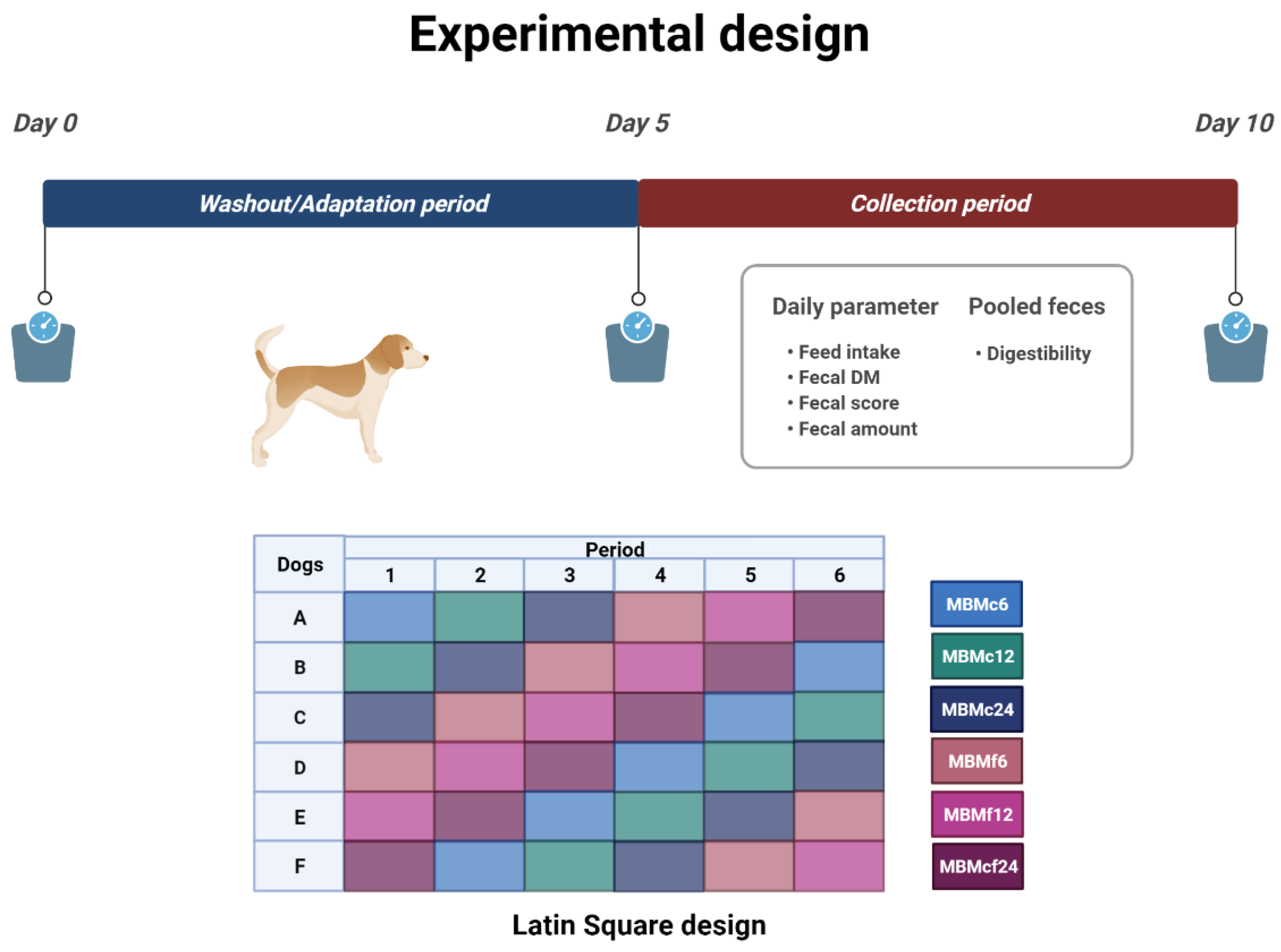 kinetic-dog-food-feeding-chart-morton-pruett