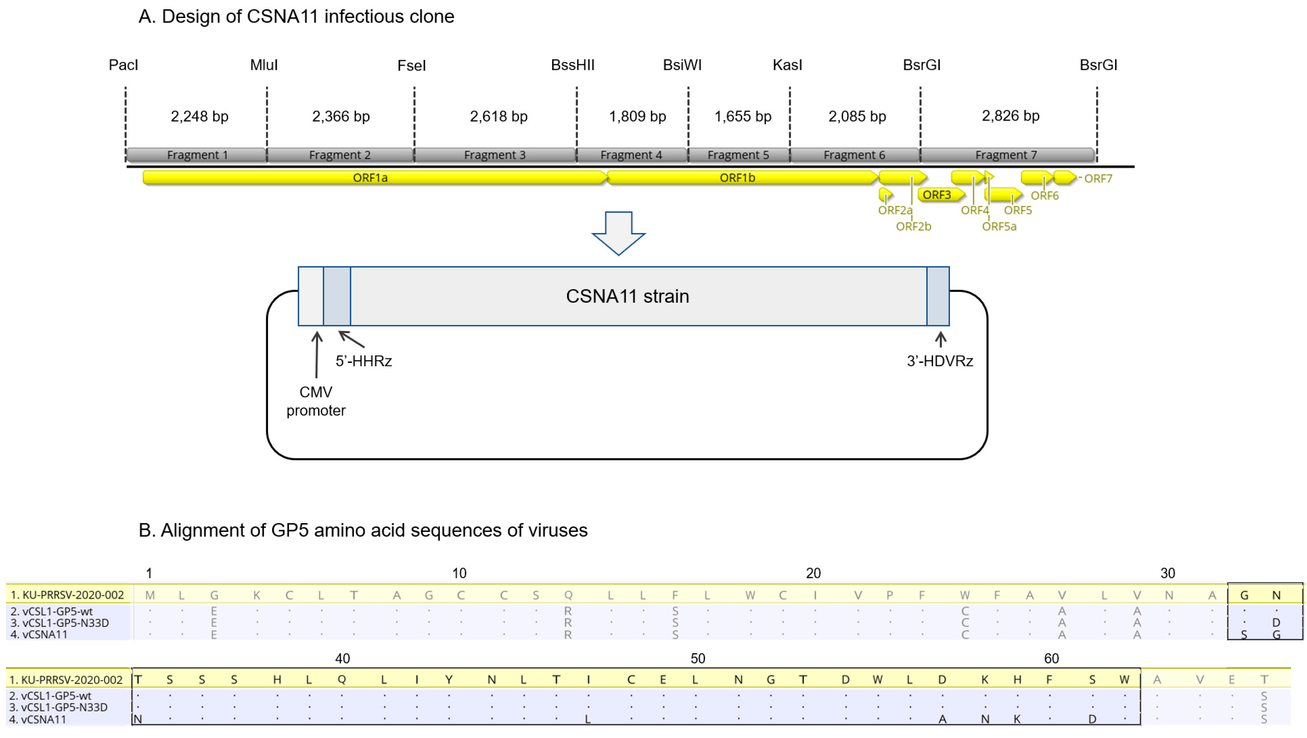 Vetsci 09 00165 g001
