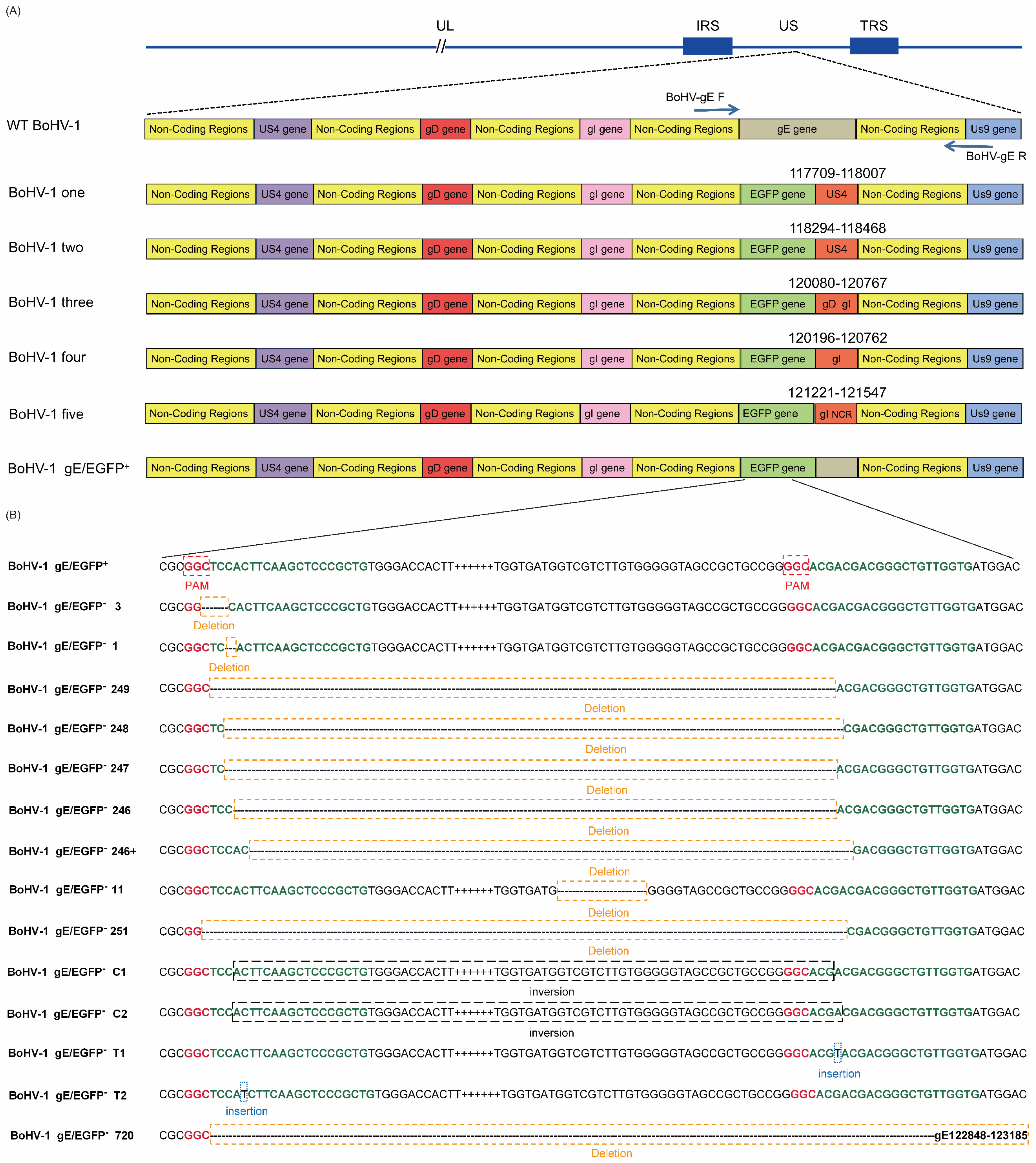 Vetsci 09 00166 g004