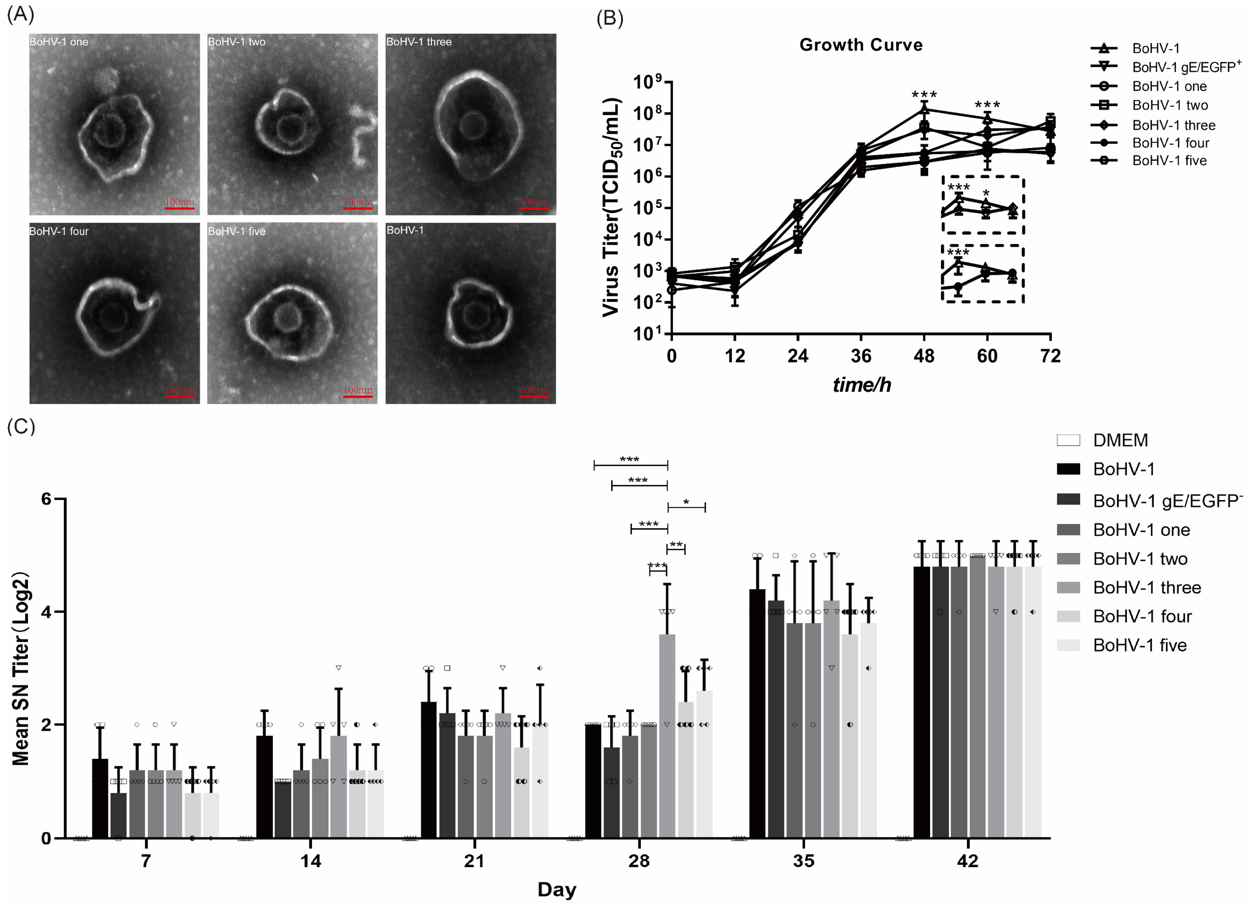 Vetsci 09 00166 g005