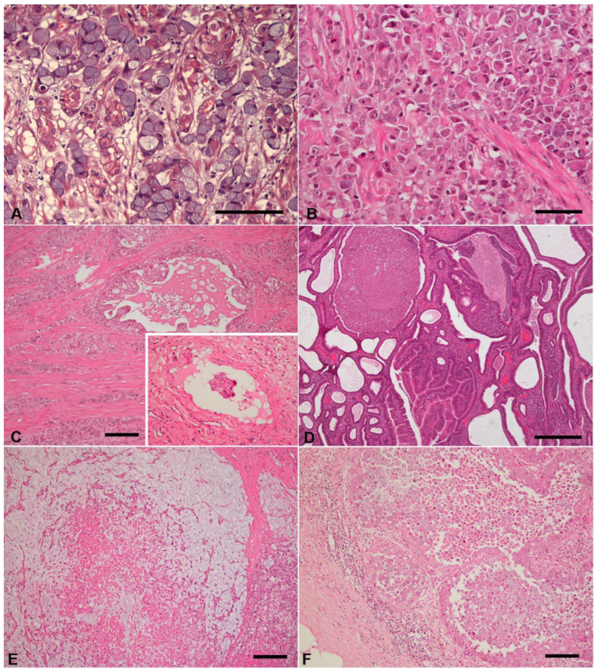 Vetsci 09 00172 g001 550