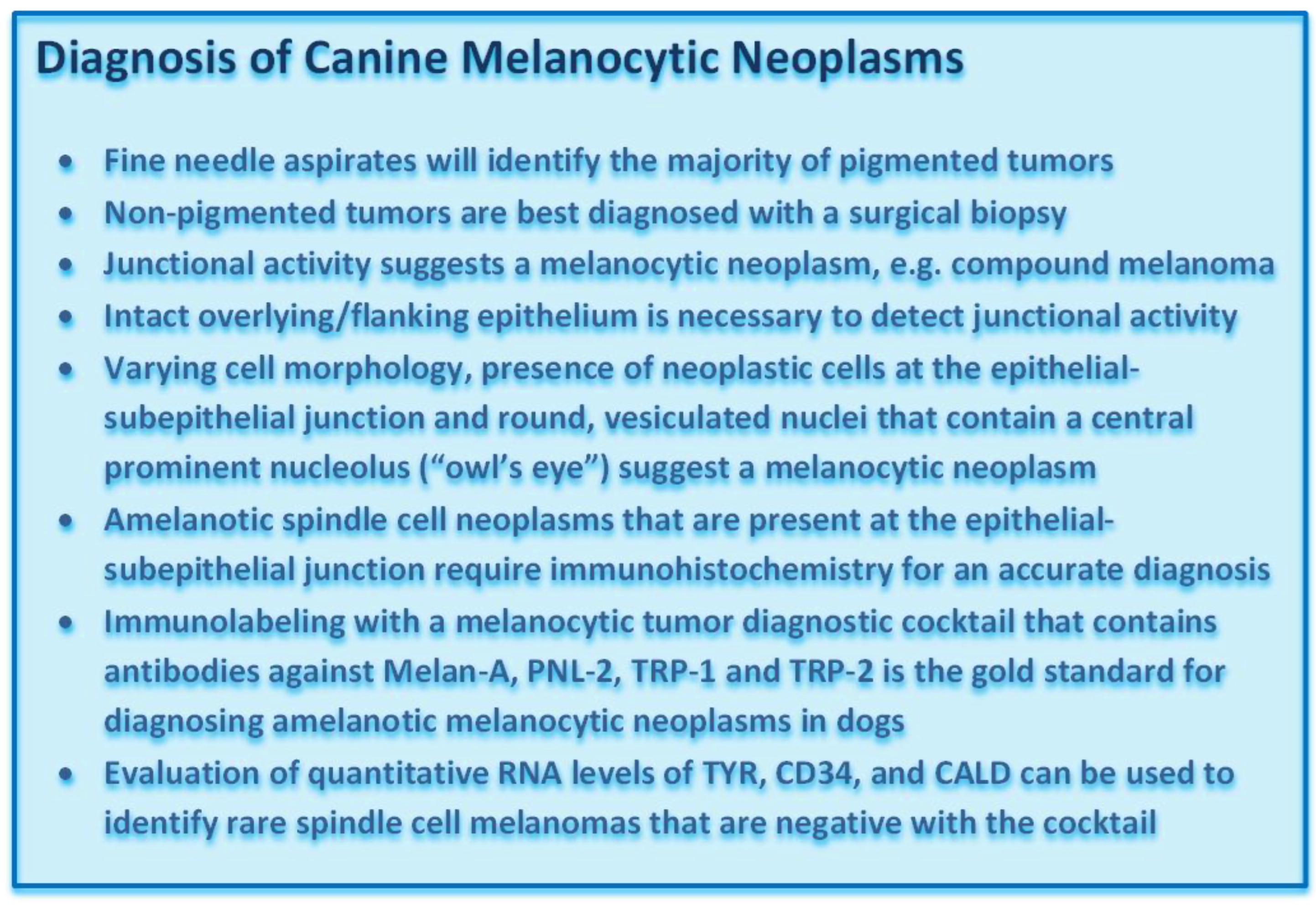 Vetsci 09 00175 g003