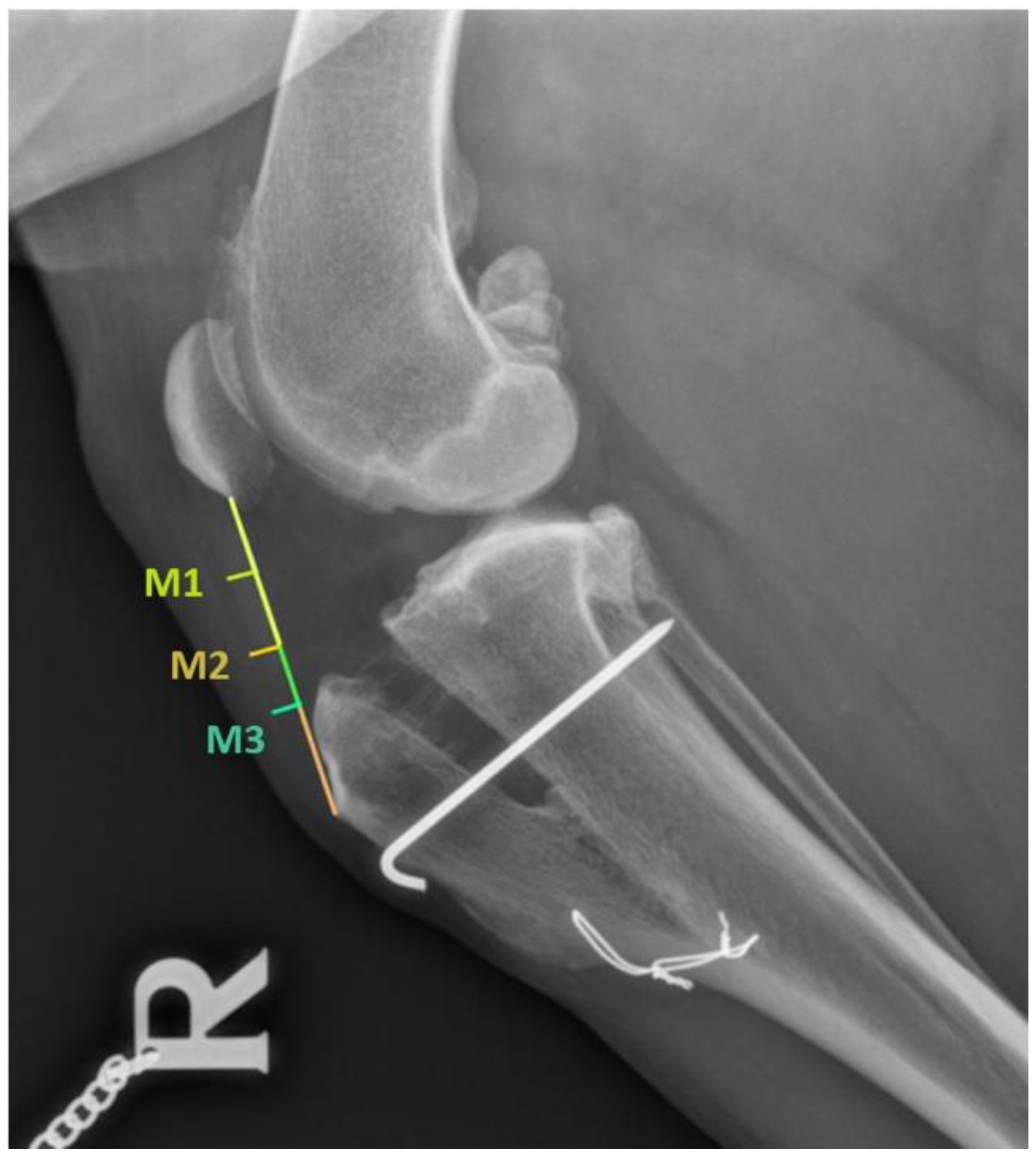 Vetsci 09 00180 g001 550