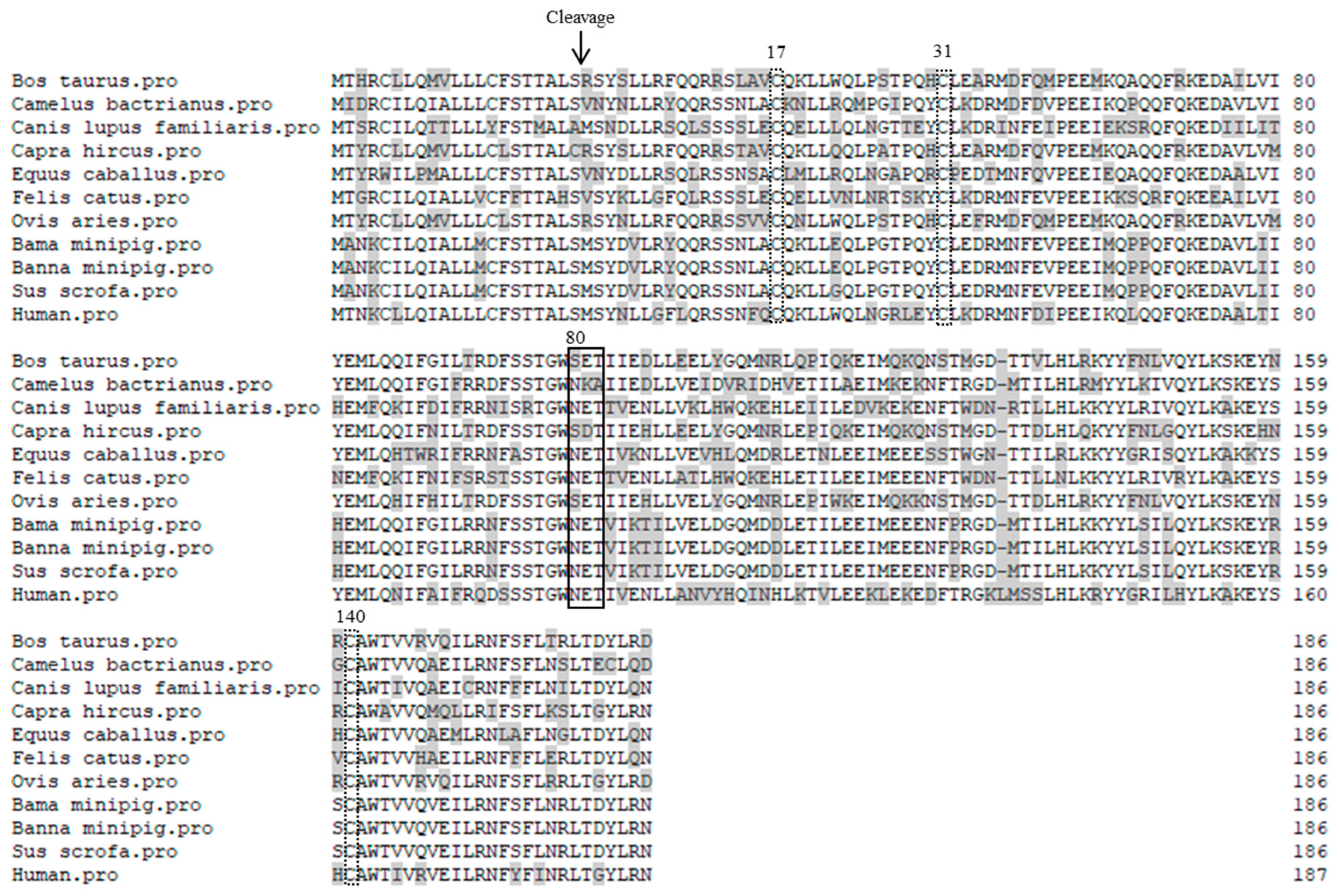 Vetsci 09 00190 g002