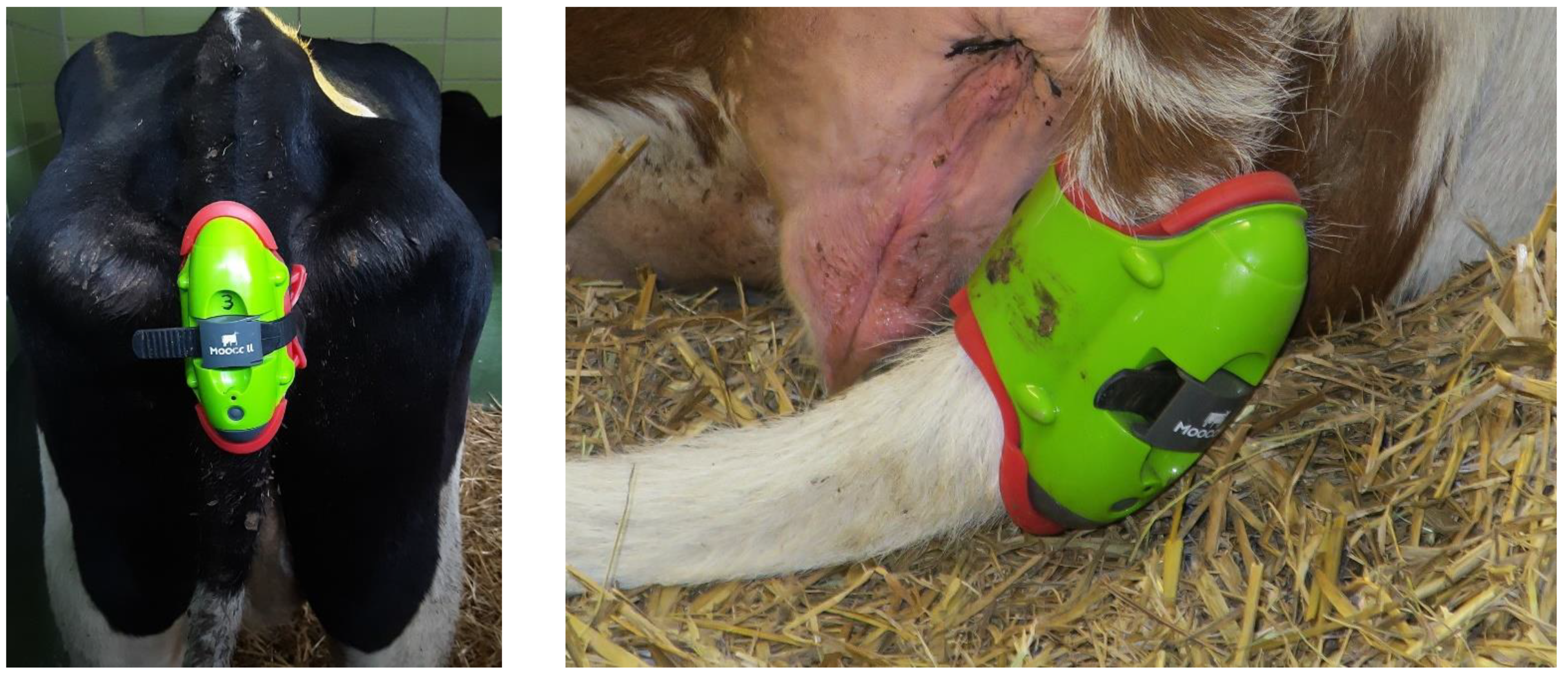 Vetsci 09 00192 g001 550