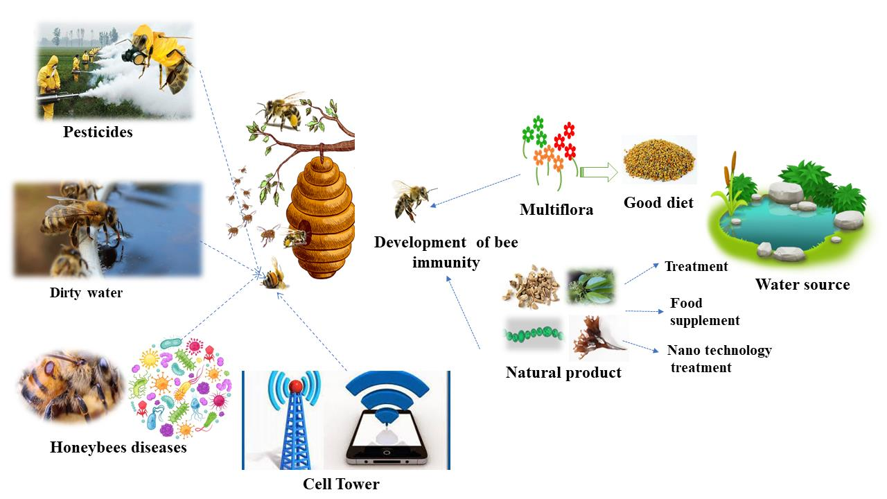 hm bee basket