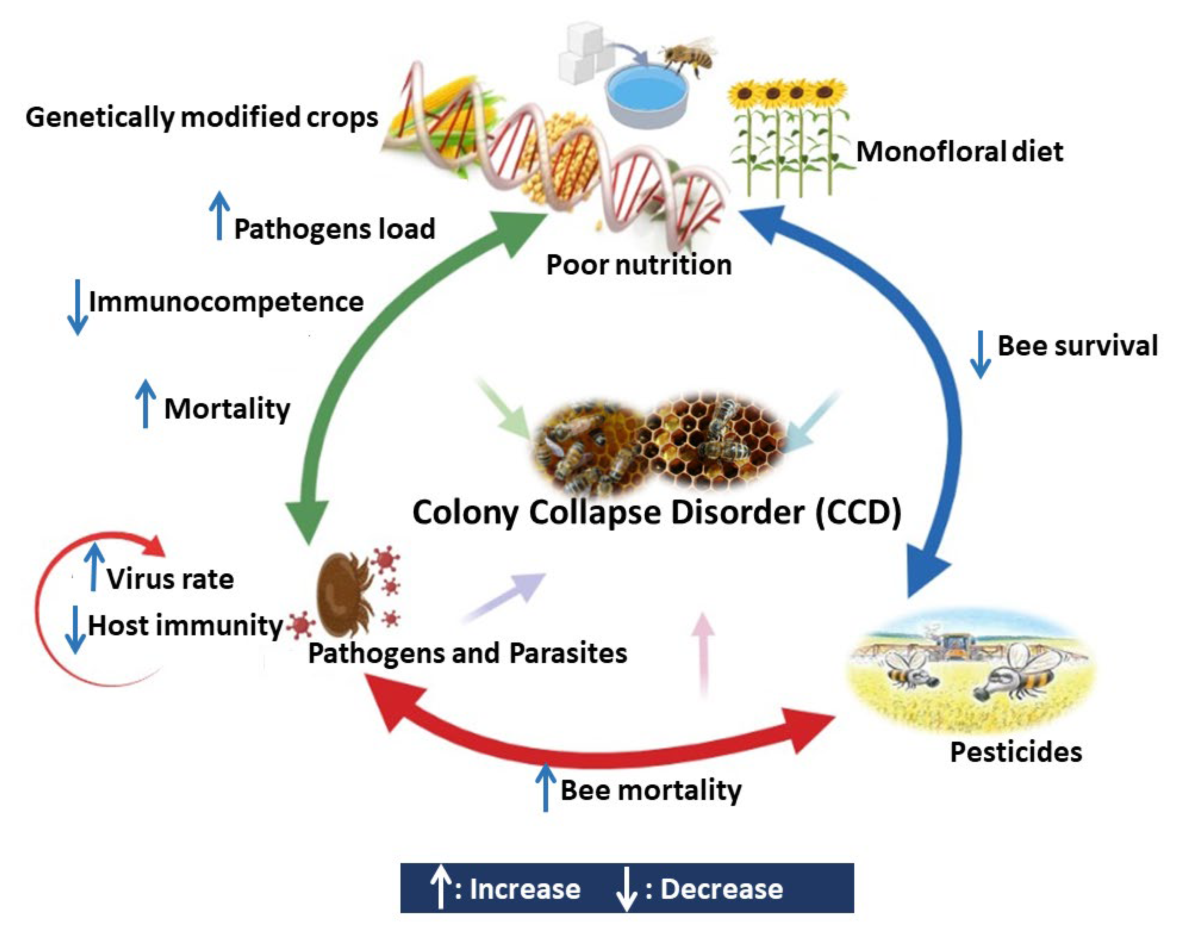 Vetsci 09 00199 g001 Vetsci 09 00199 g001