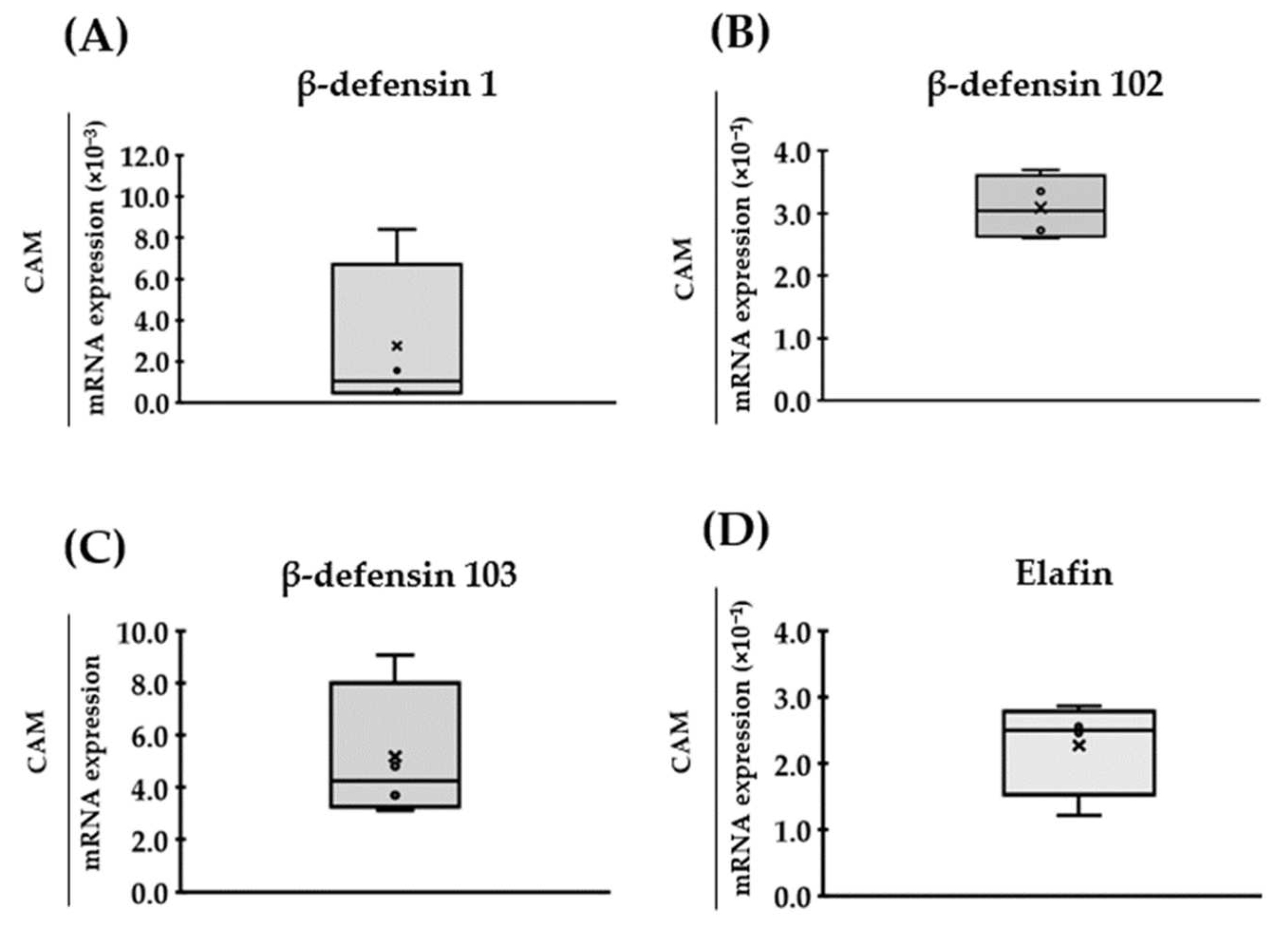 Vetsci 09 00200 g002